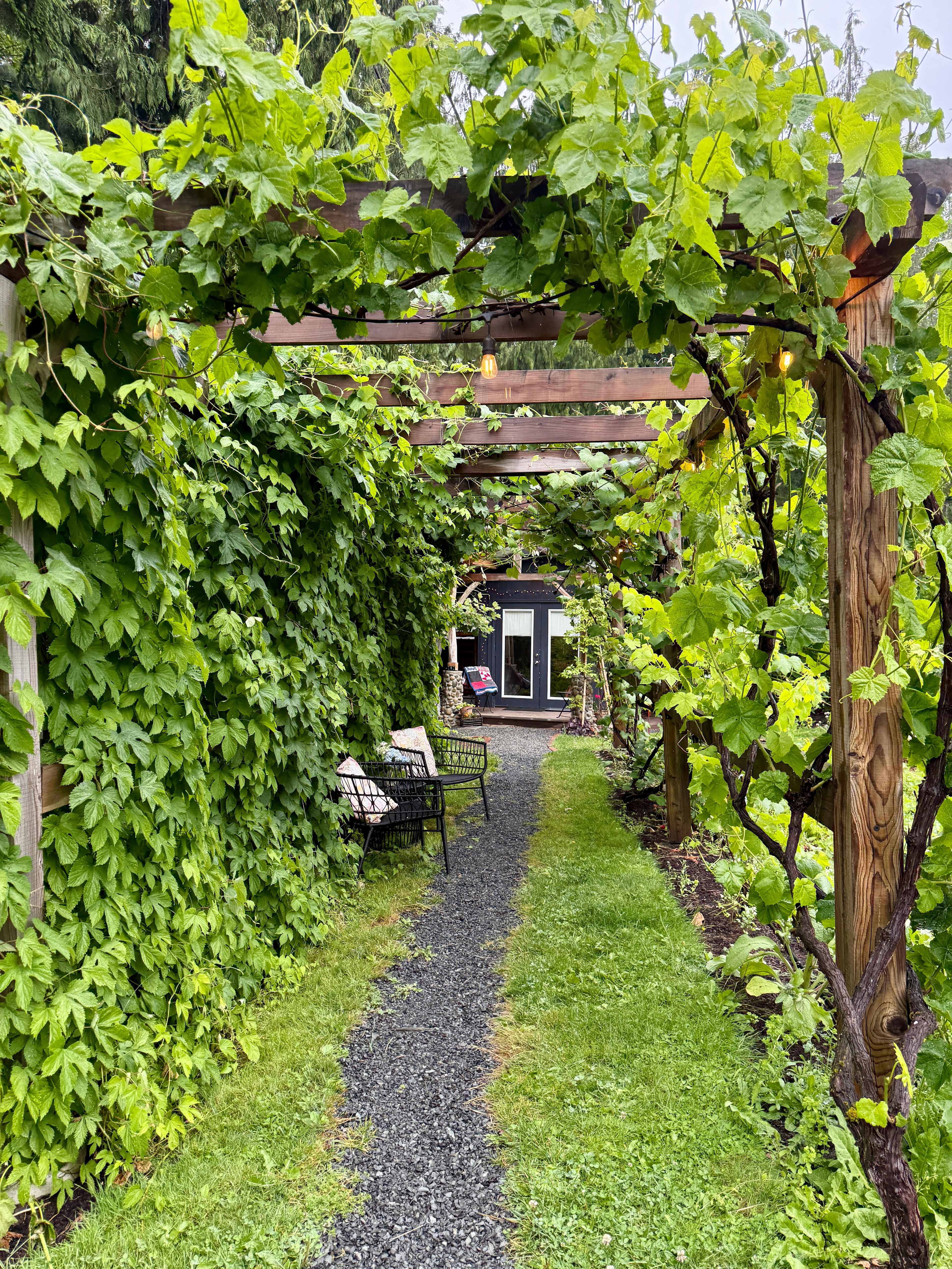 Walk to the shed