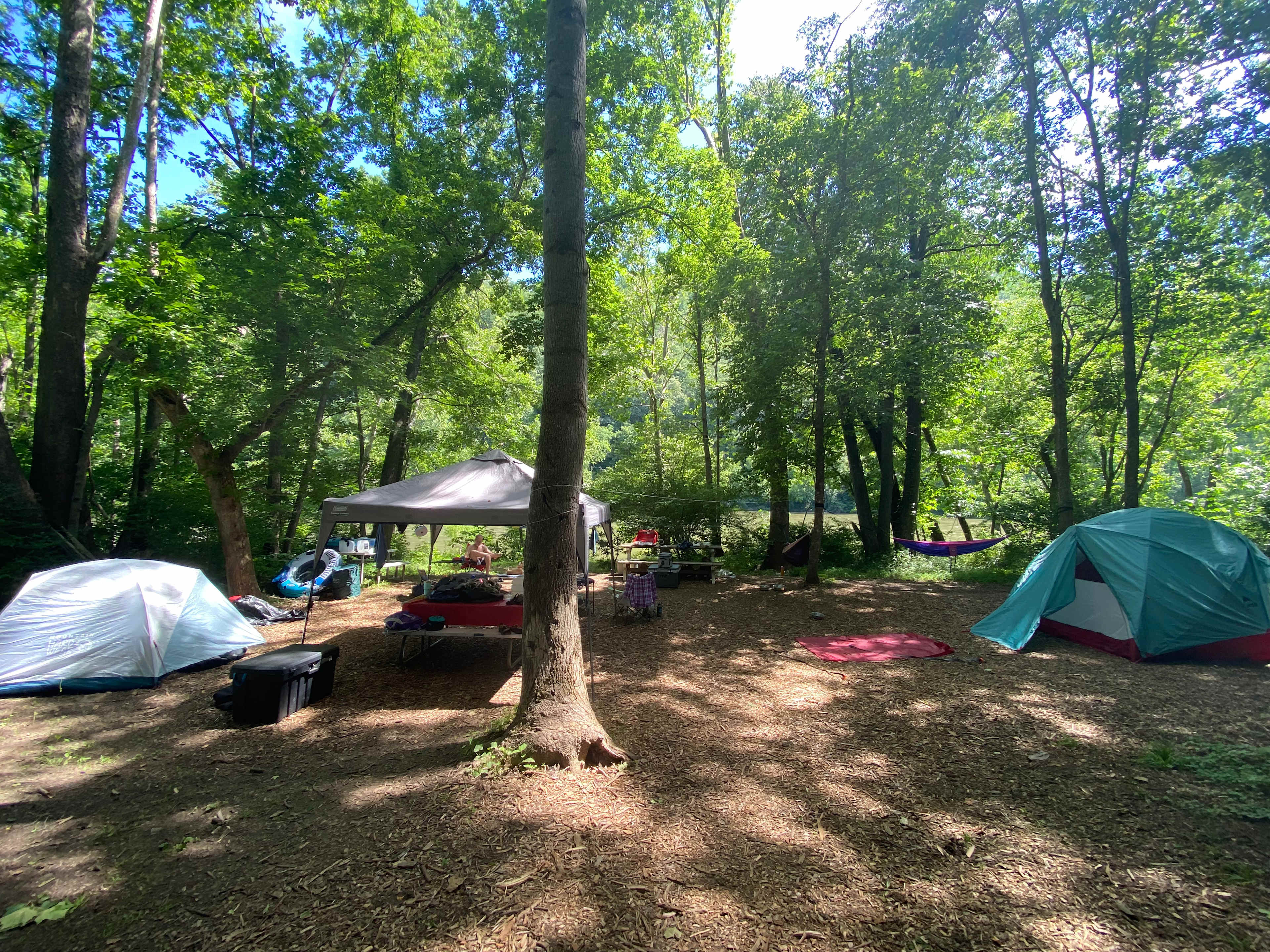 Site #4