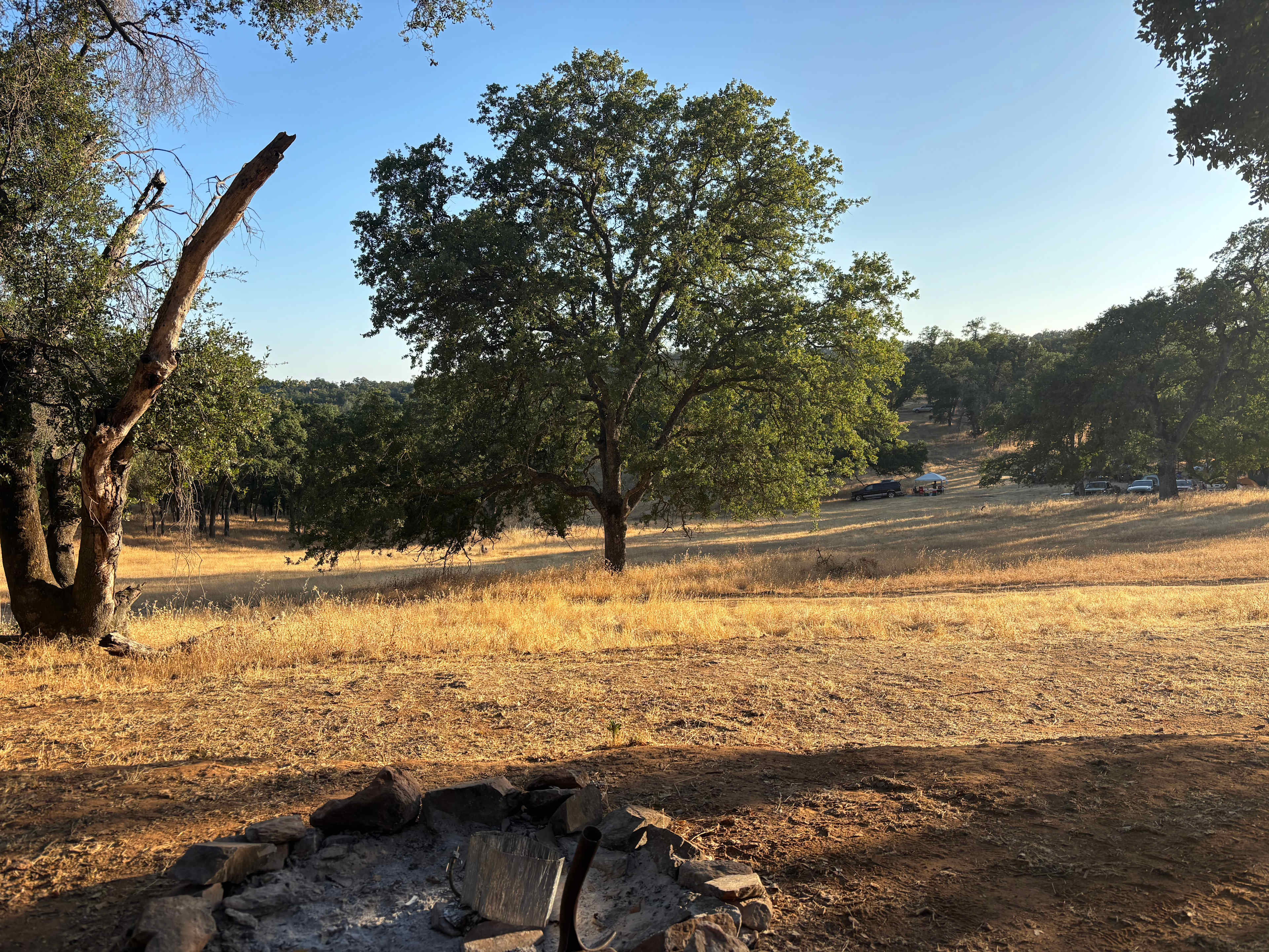 Ascension Ranch