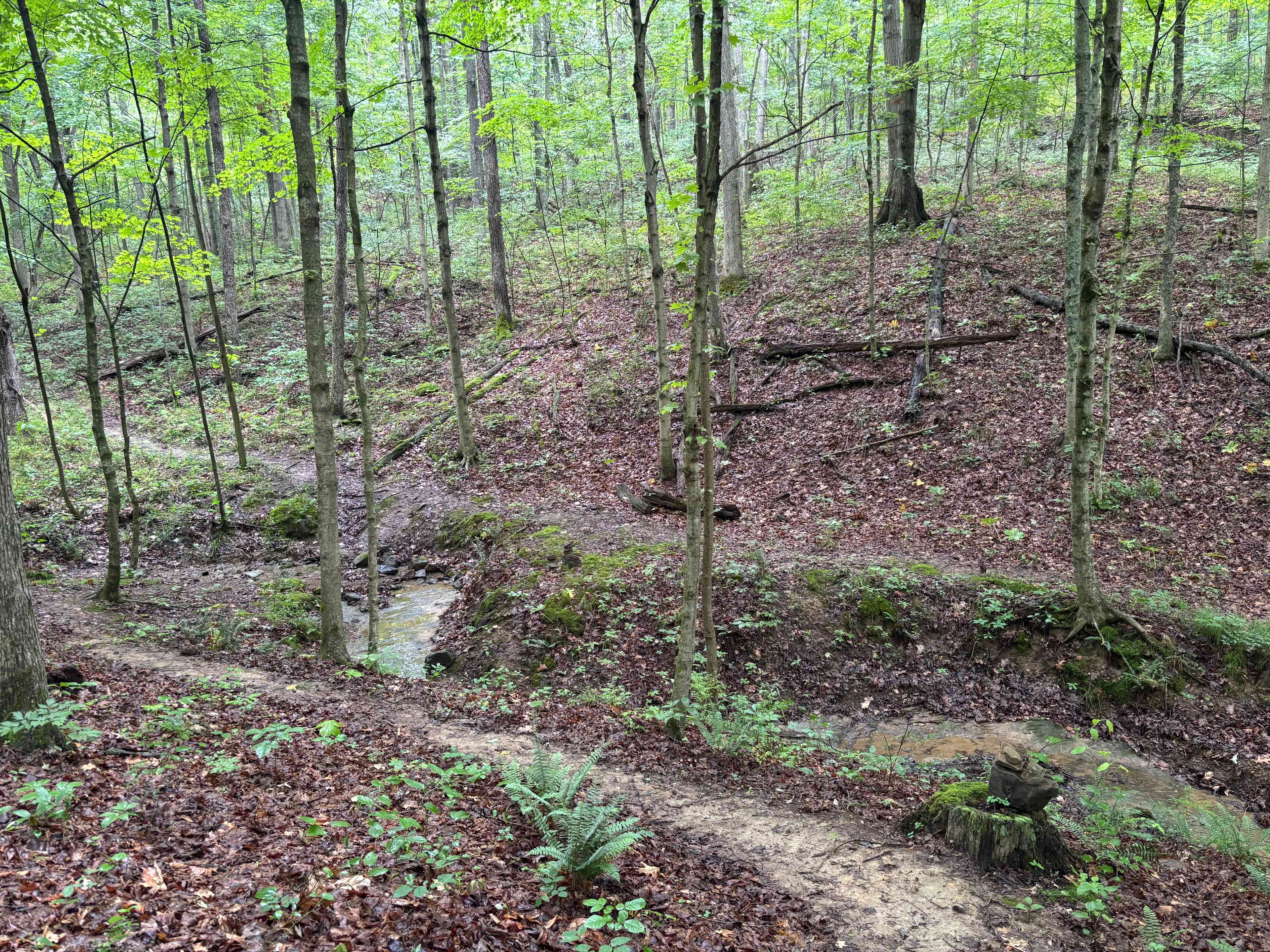 Path through the woods. Due to the weather, we didn’t hike, but will next time. 