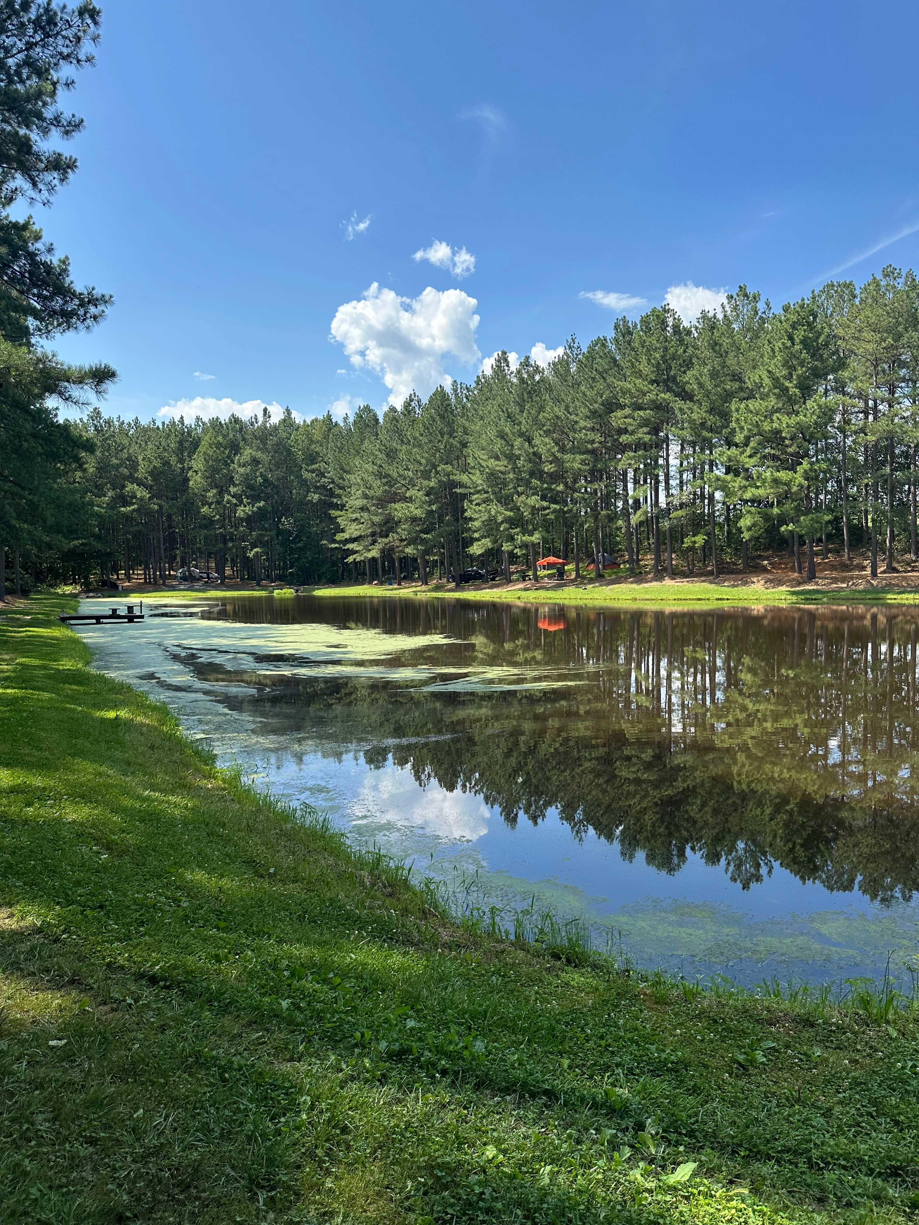 Pond on property 