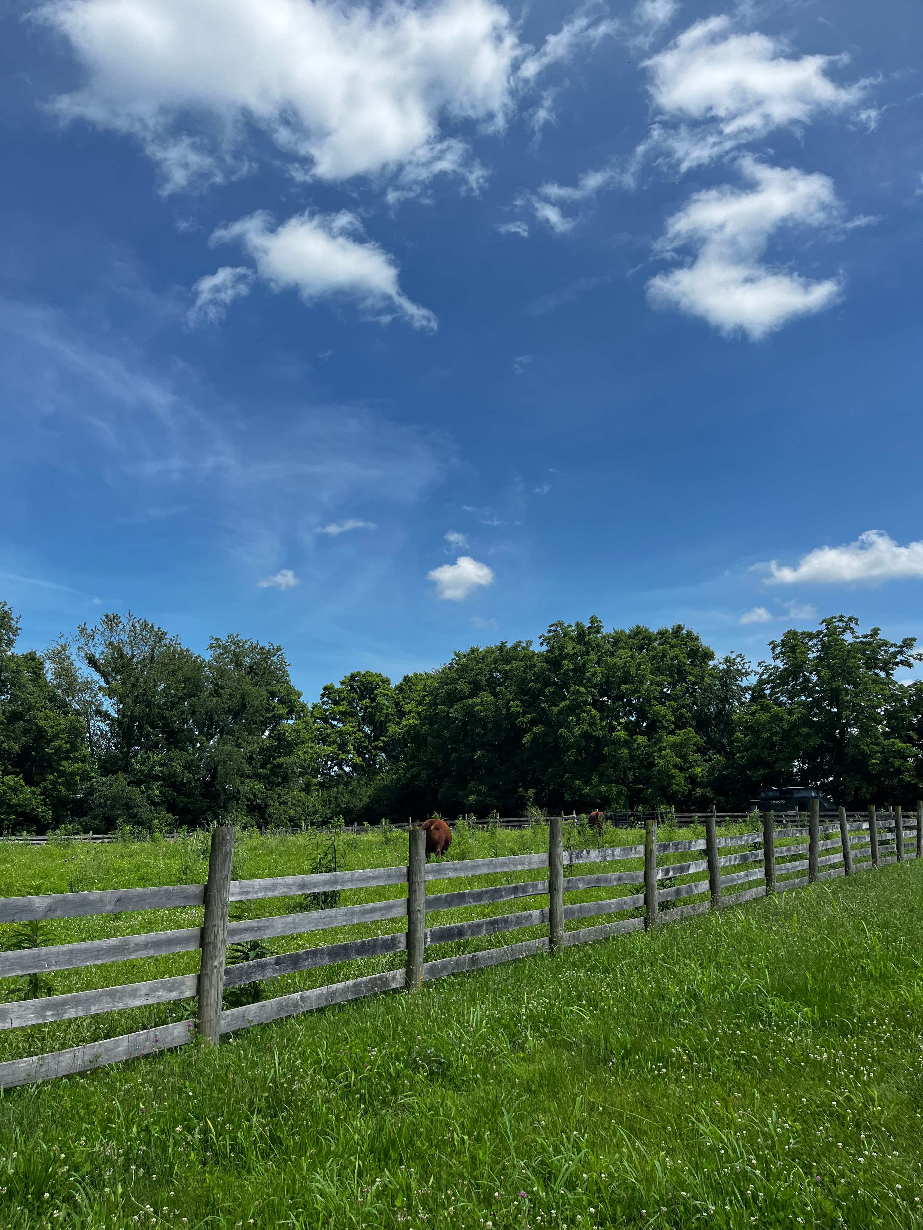 Farm and Forest