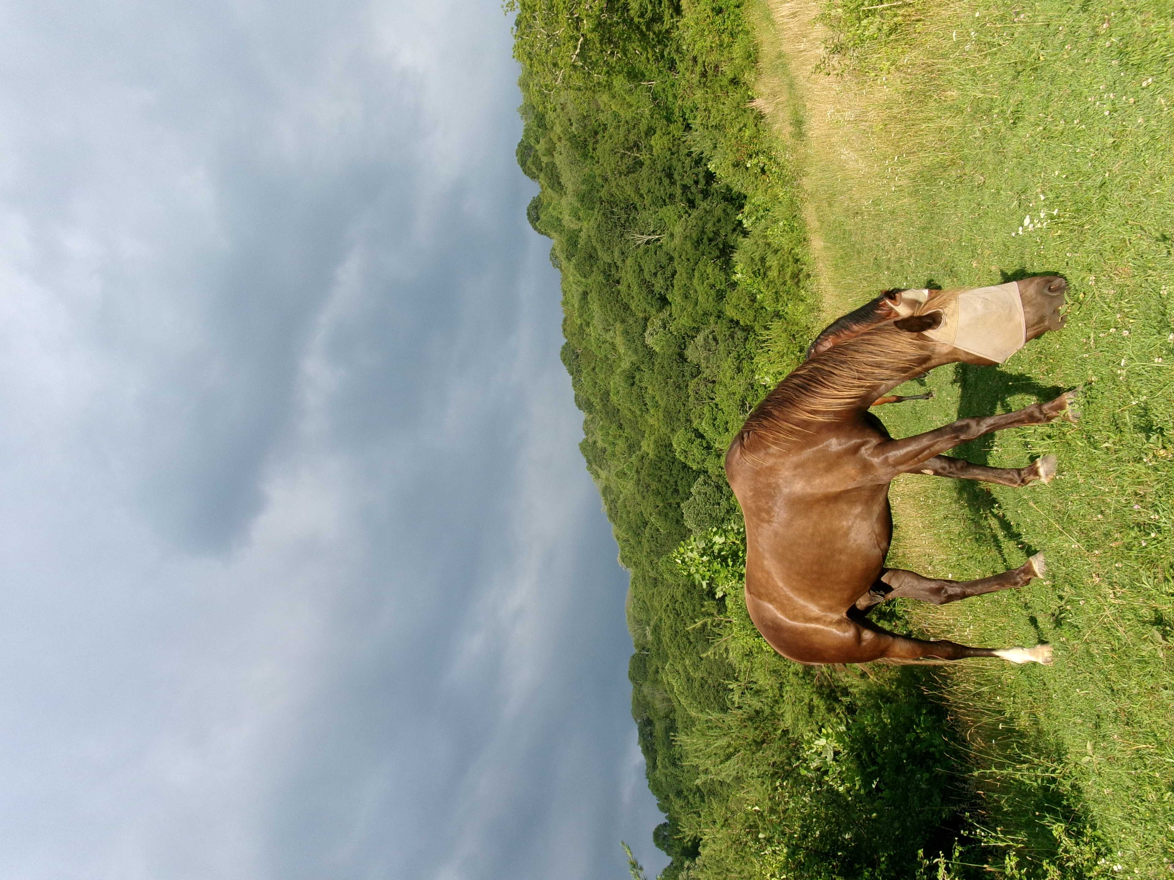Pause || Eco-Retreat at Aramesh