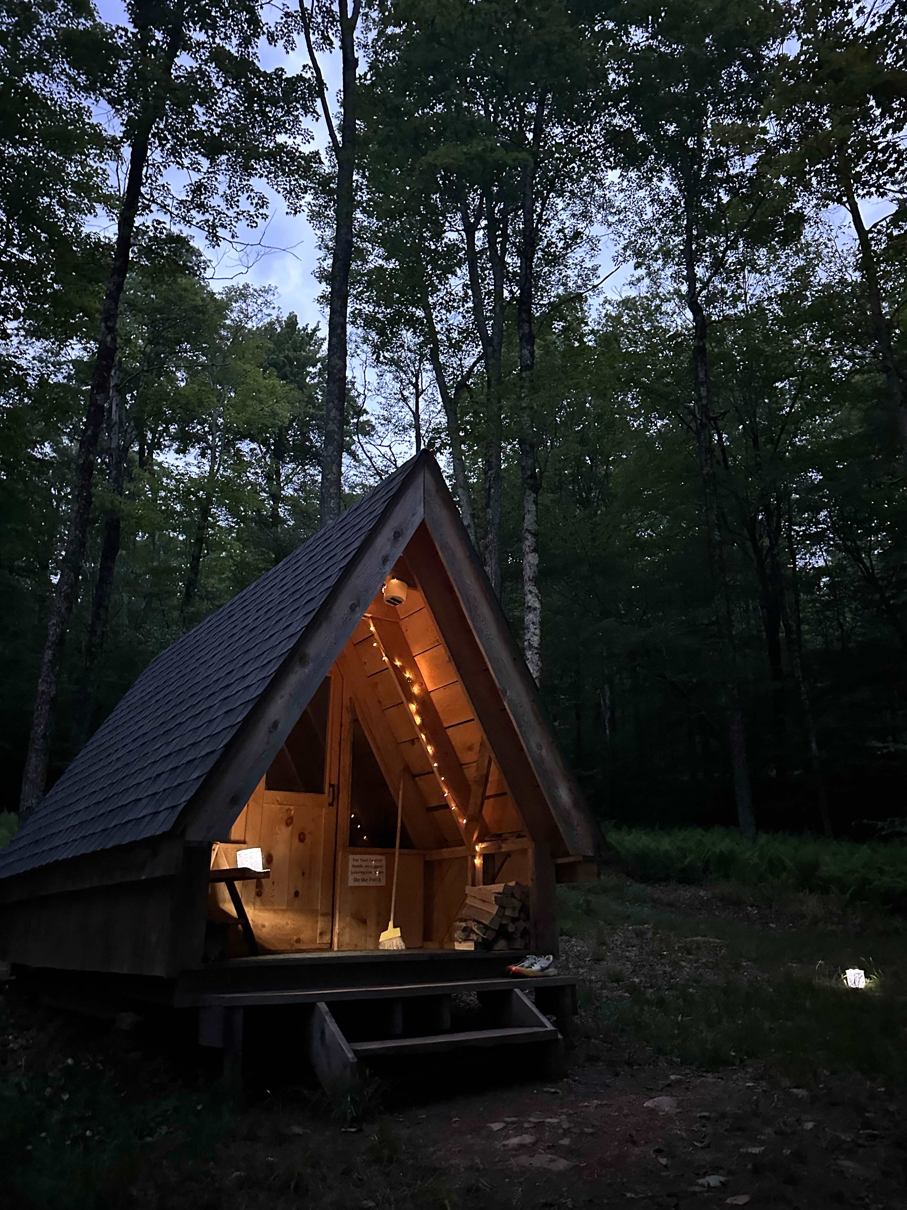 Burr Oaks Forest secluded campsites