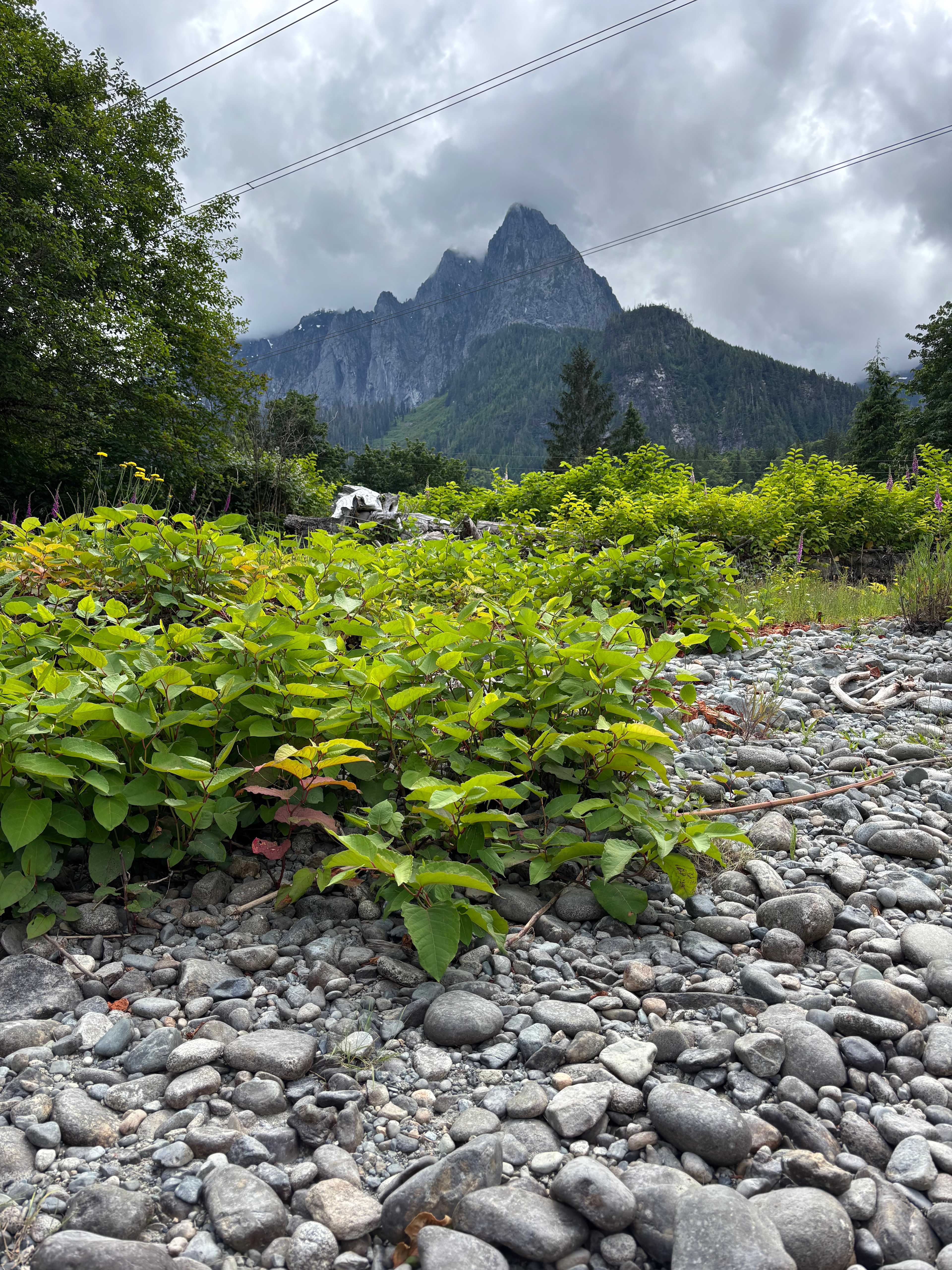 Mt. Index Sanctuary