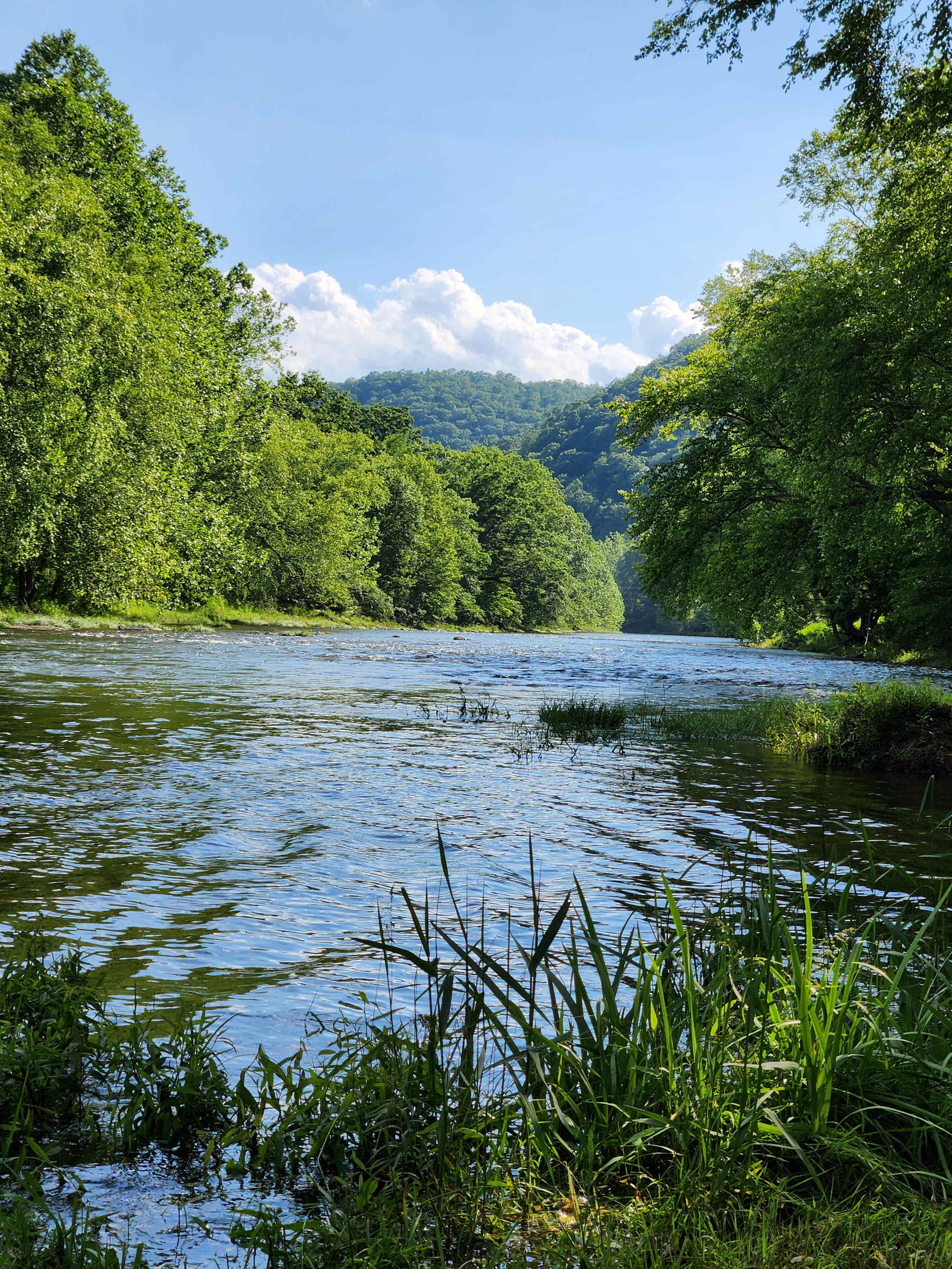 River Trail Hollow