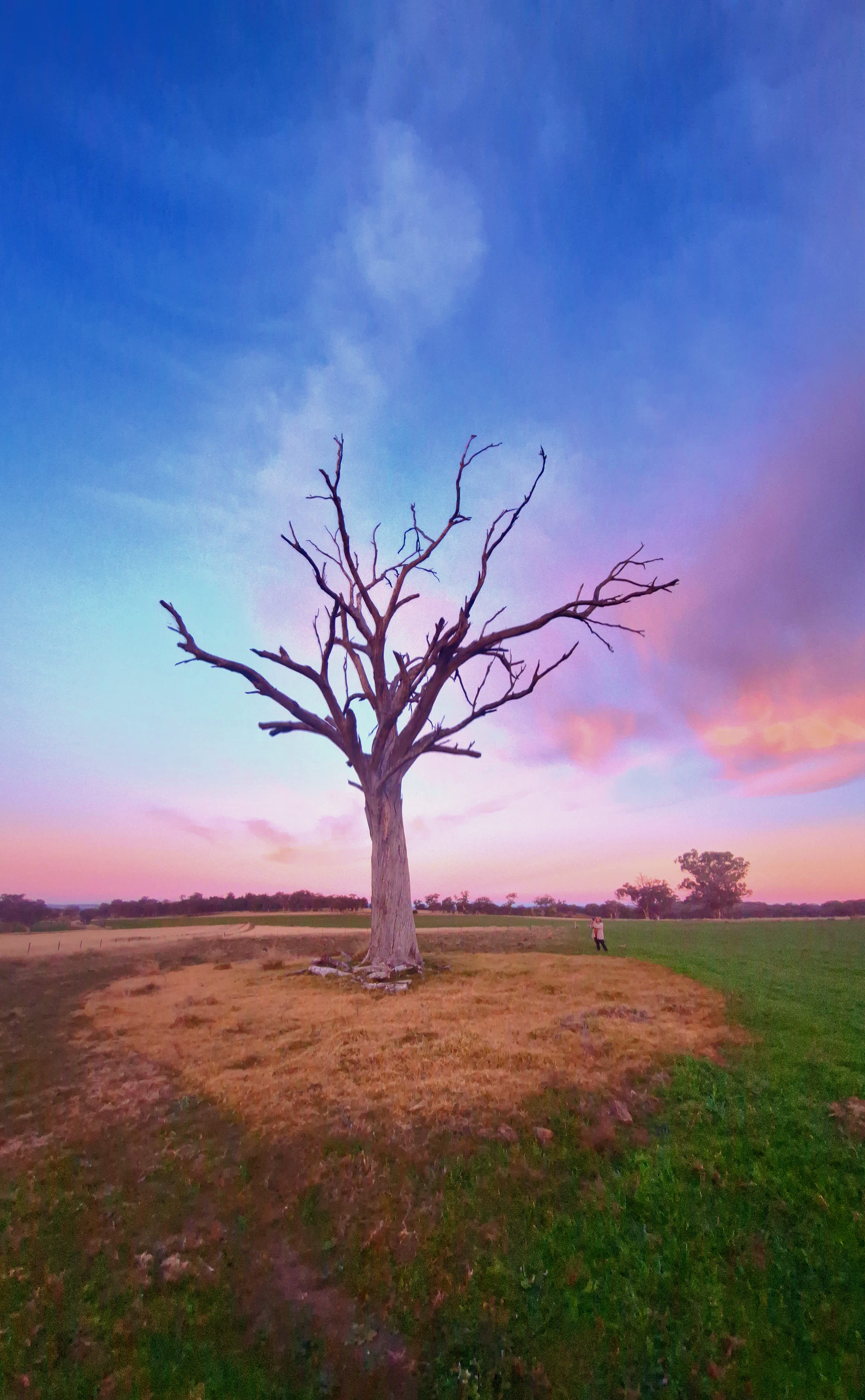 Awesome farm stay