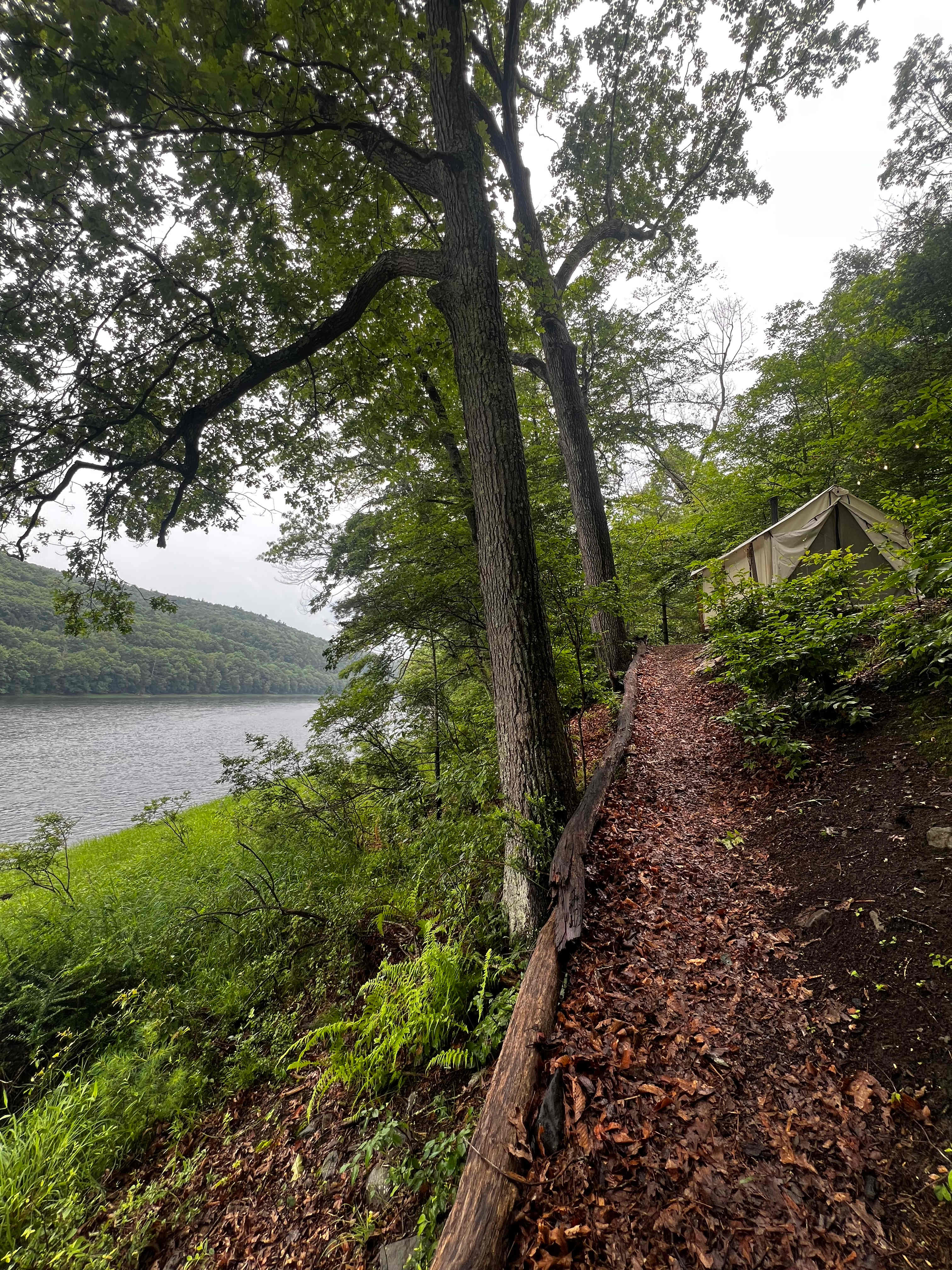 View of canal edge from river access