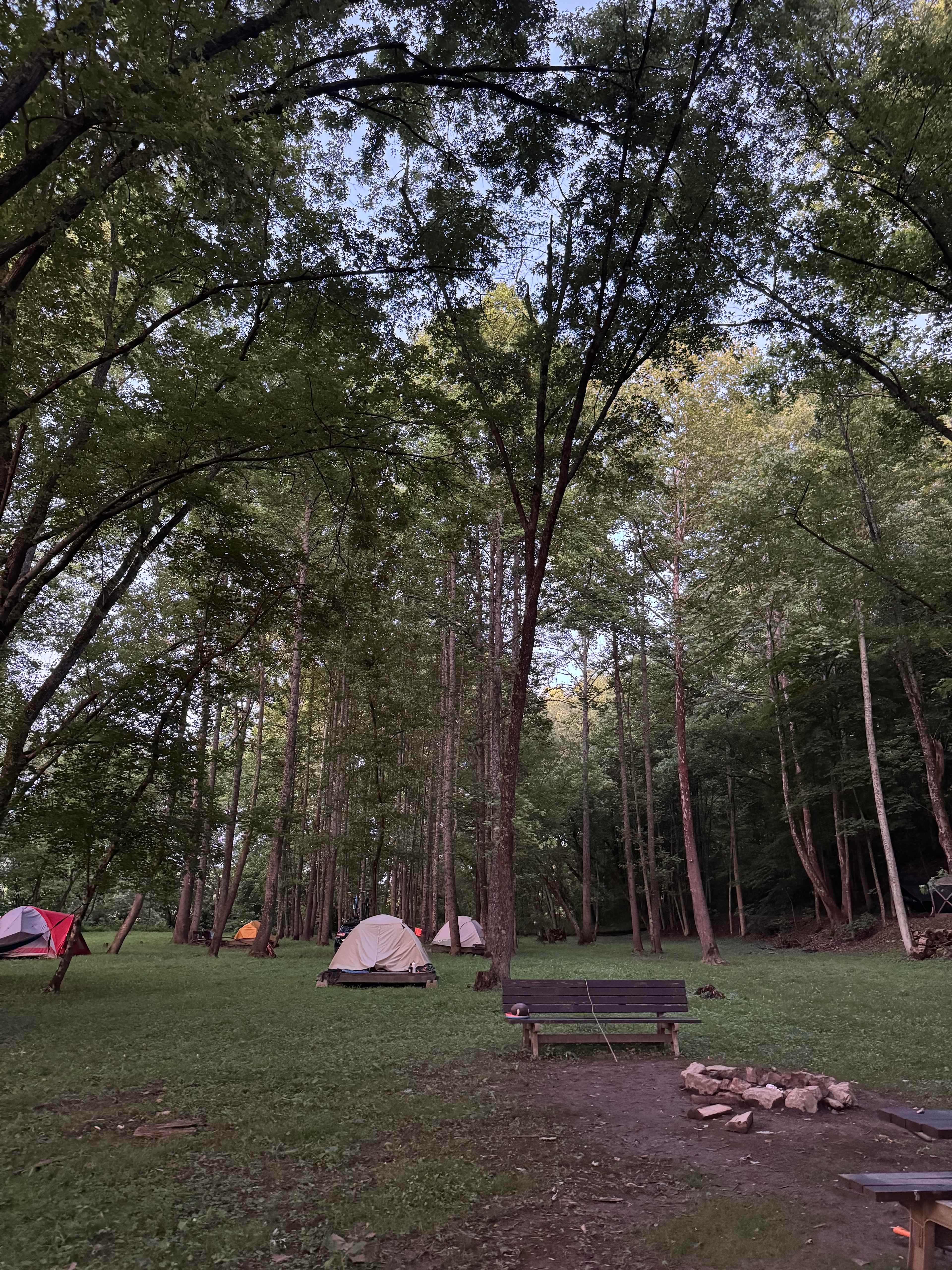 Baileys Trail Tent Camping