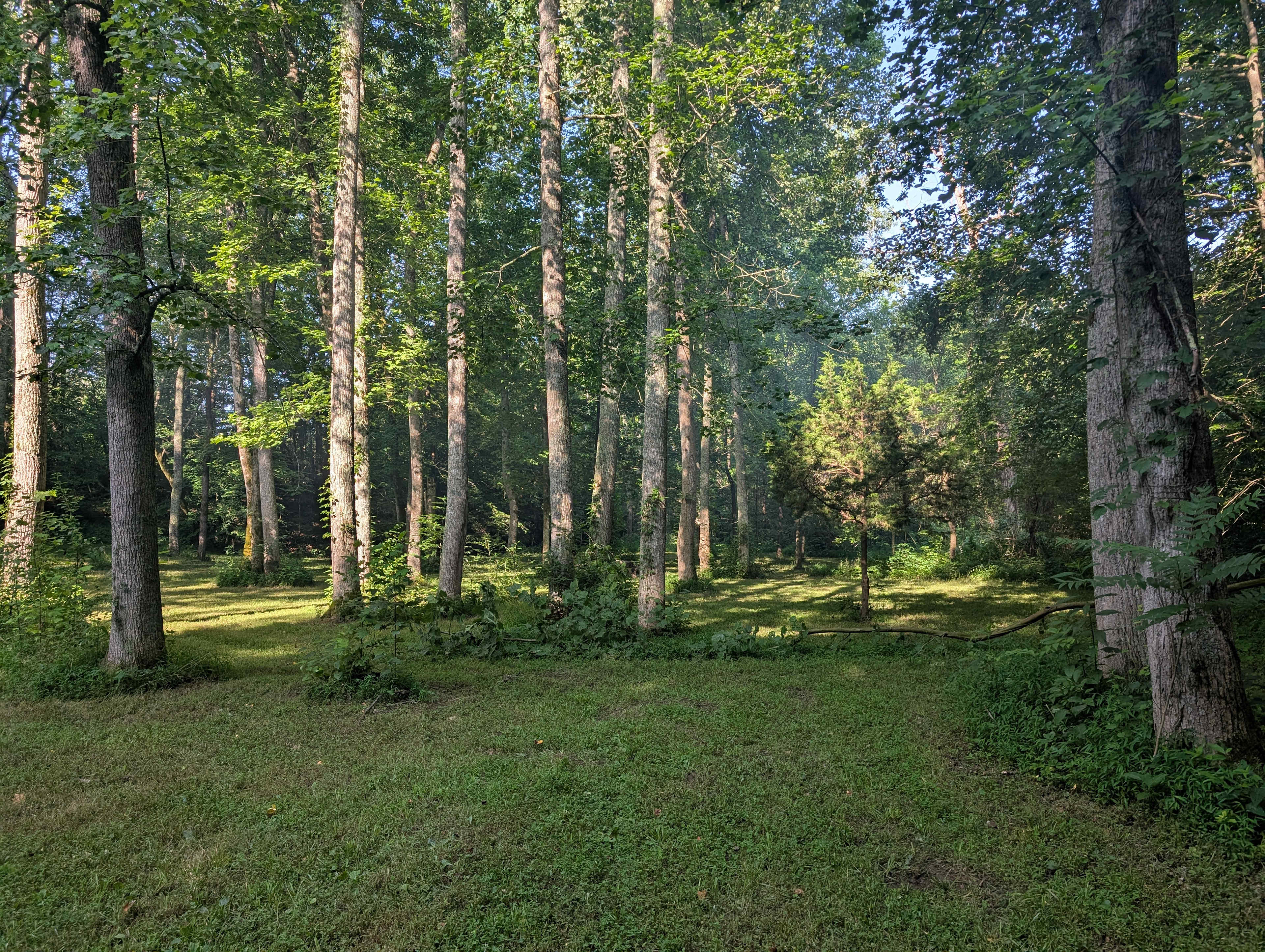 The Home Place