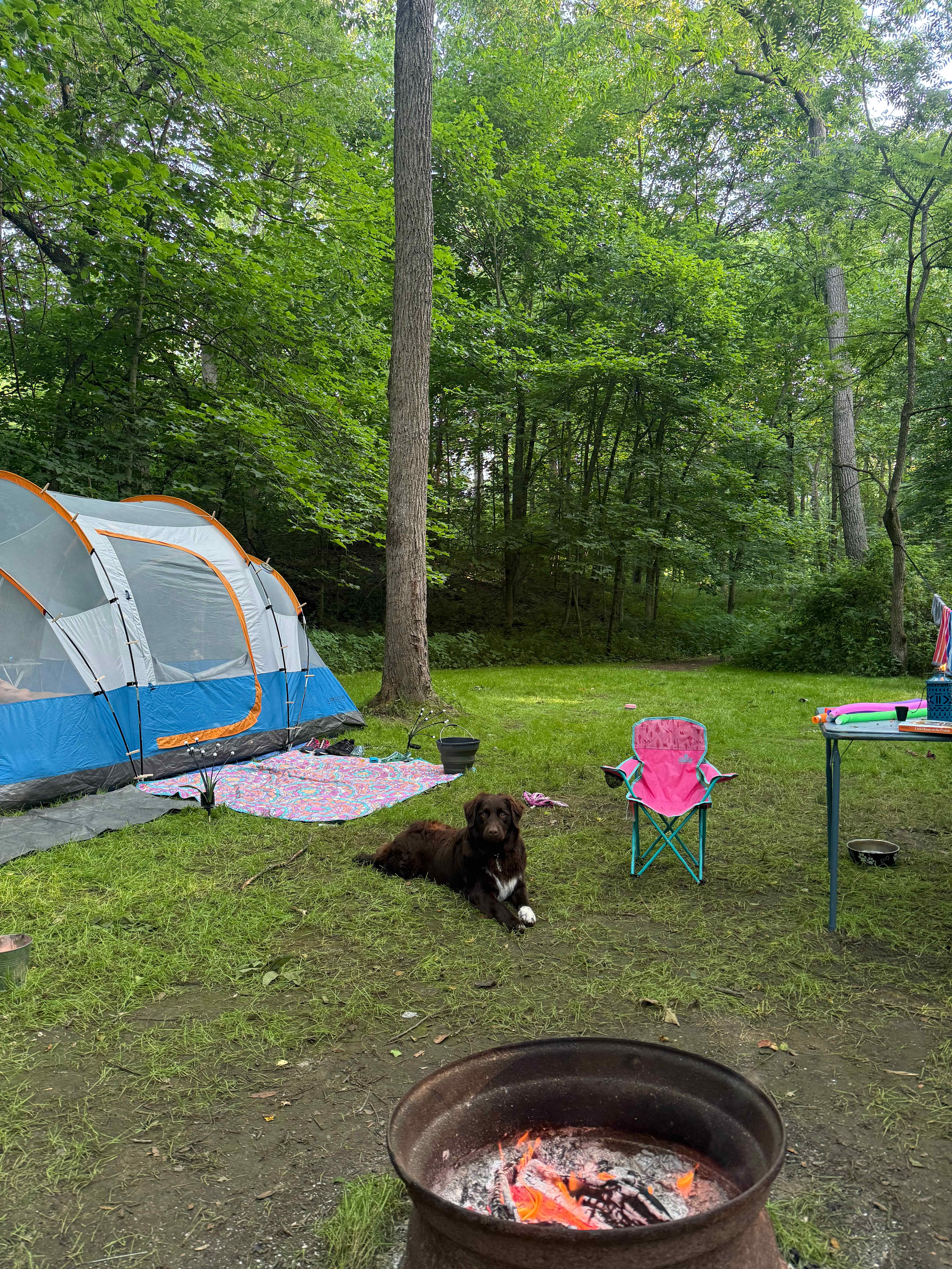 Pleasant Valley Farm Camp