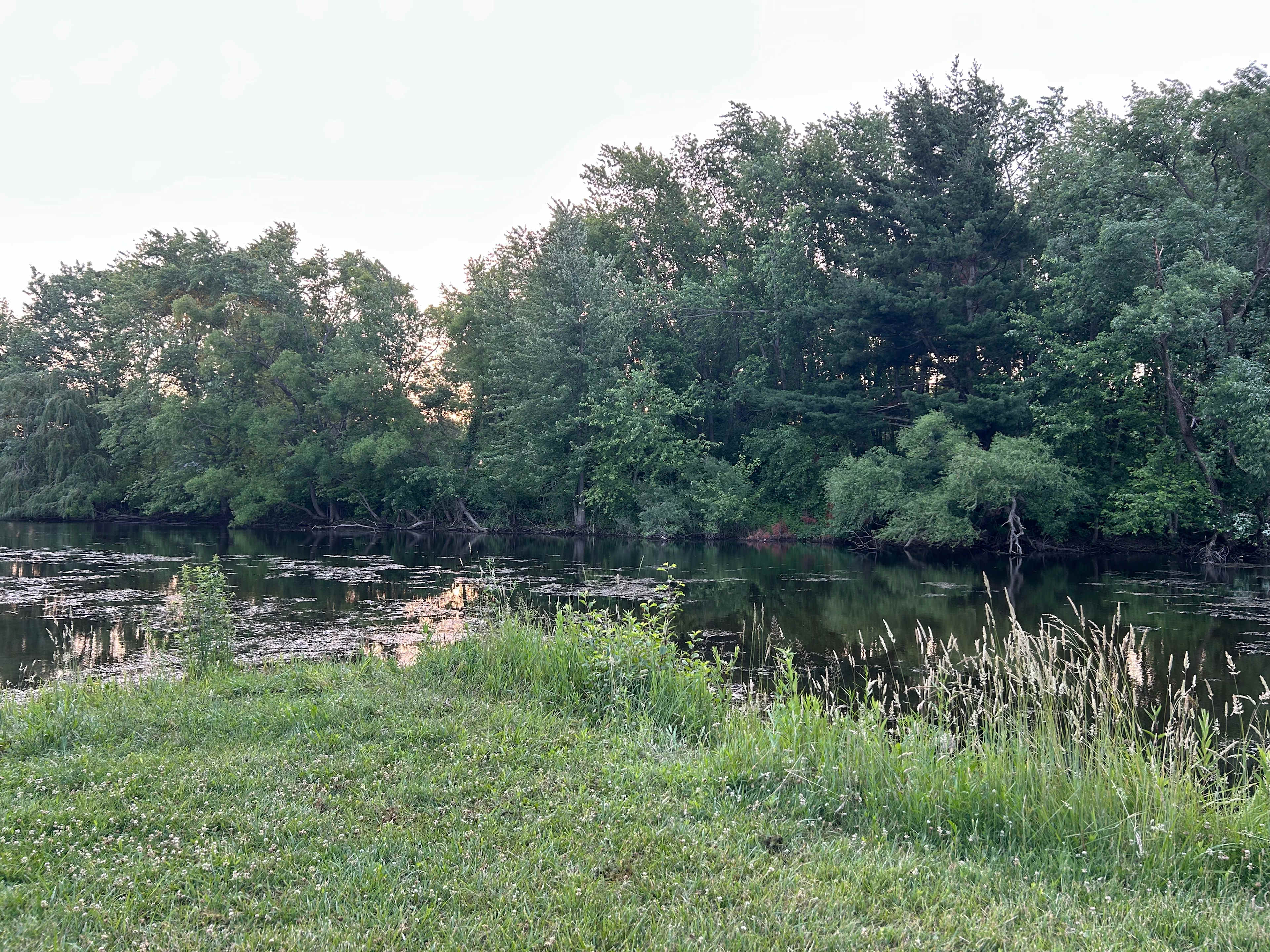 Willowthorne