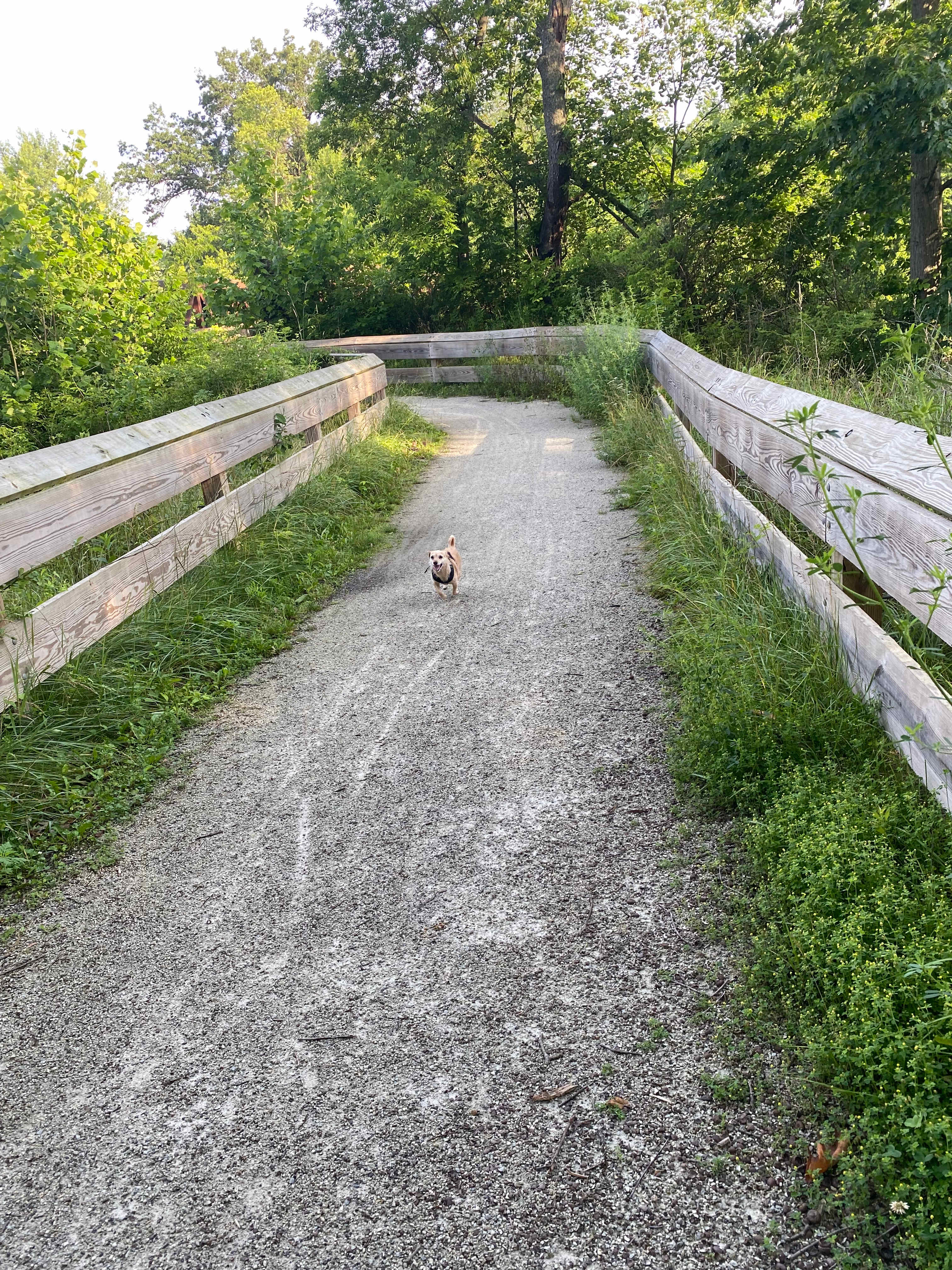 Towpath Trail Peace Park
