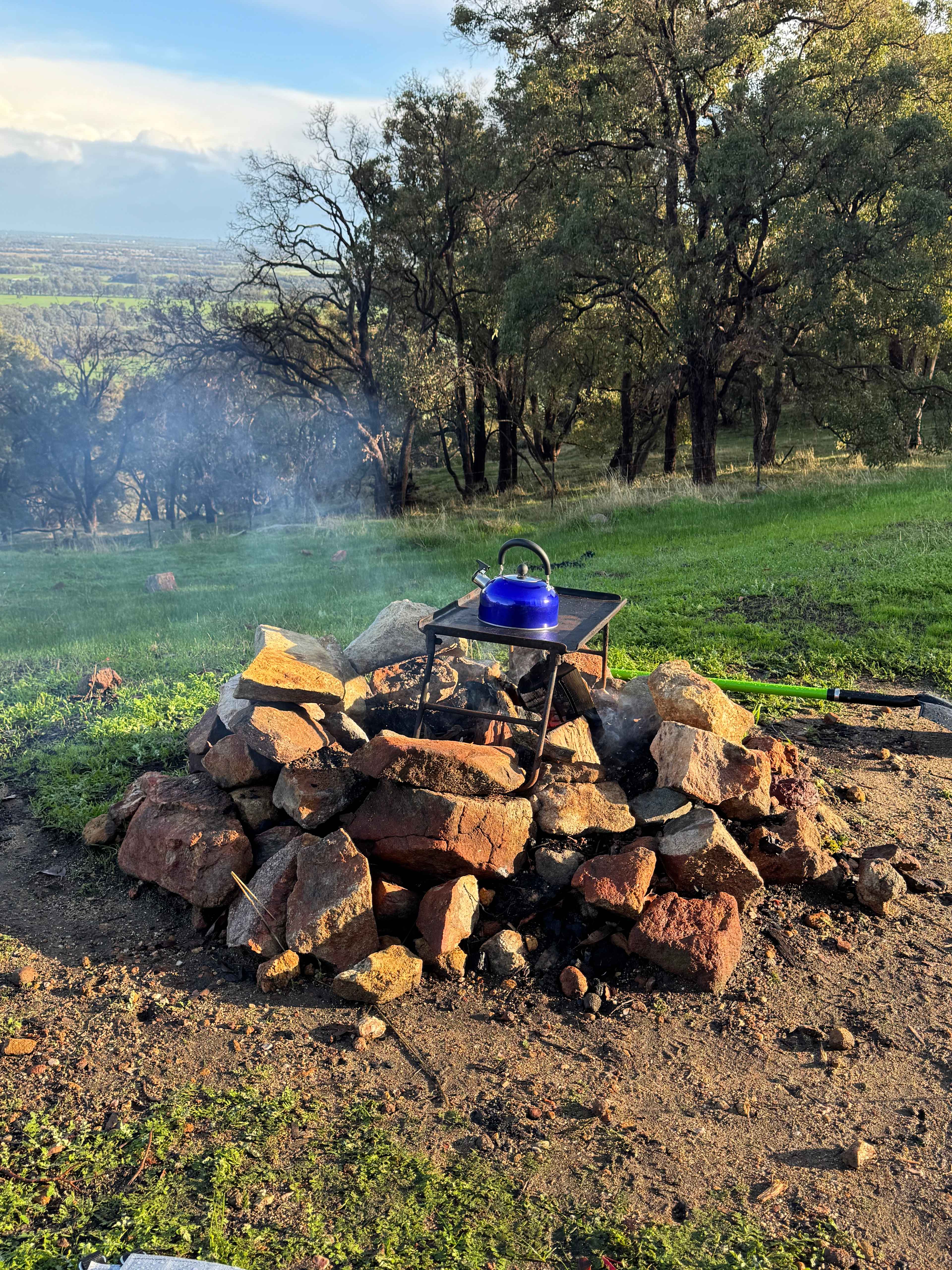 Jacaranda Hill Farm