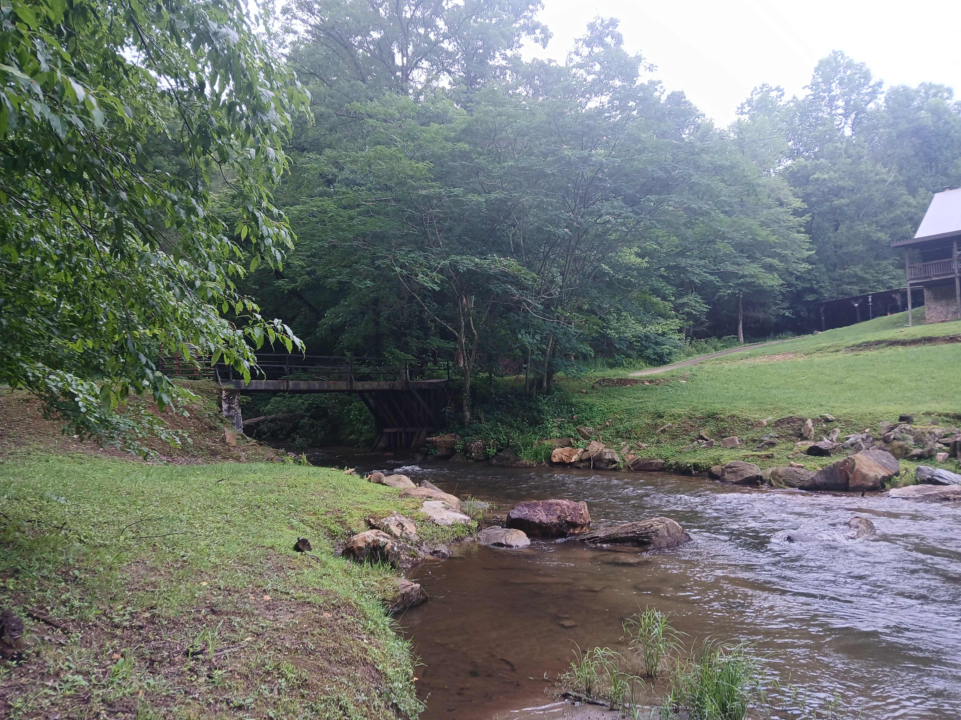 Forestry Treat, Blue Ridge
