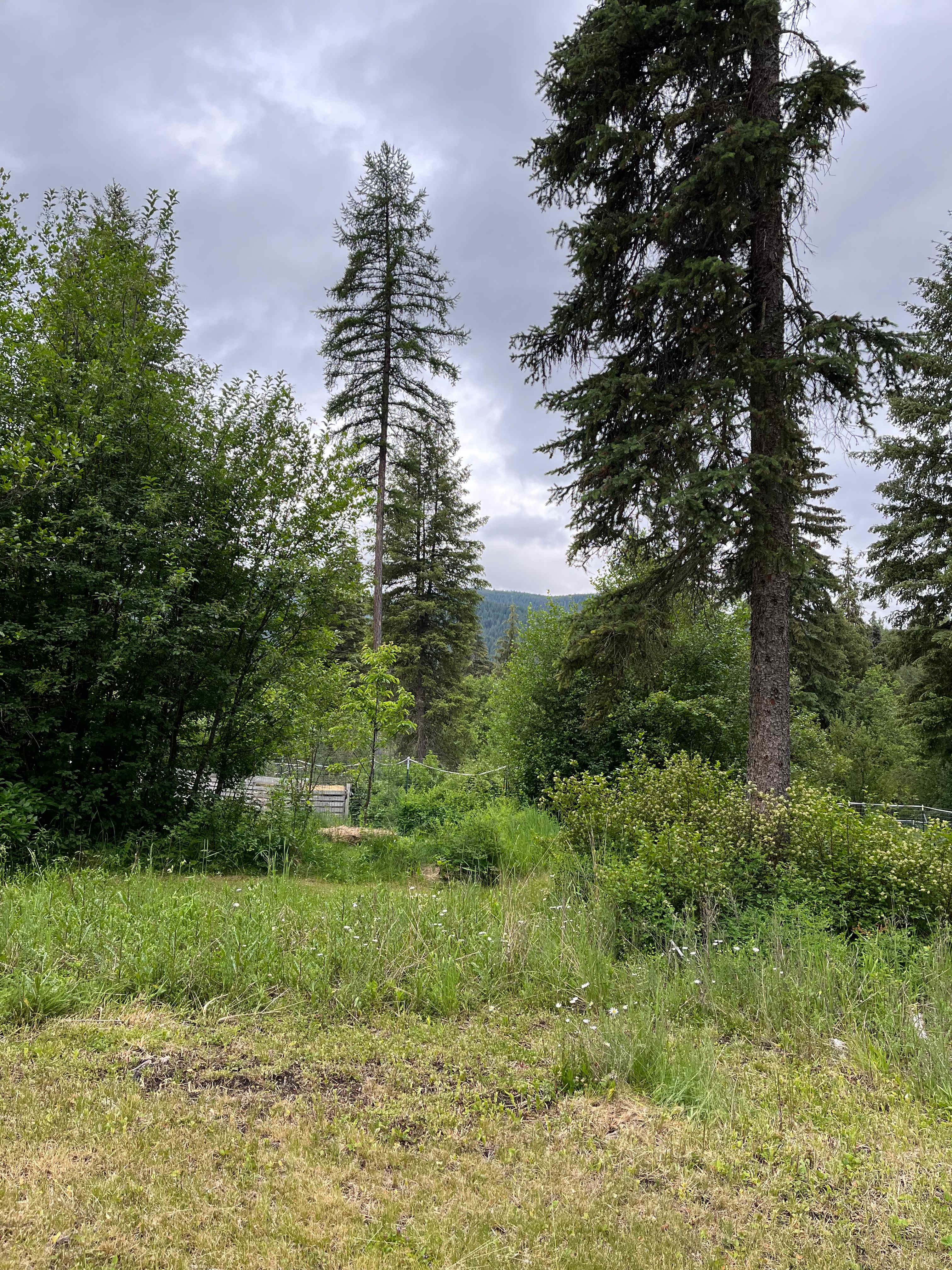 Sanctuary Farm Yurt Glamping