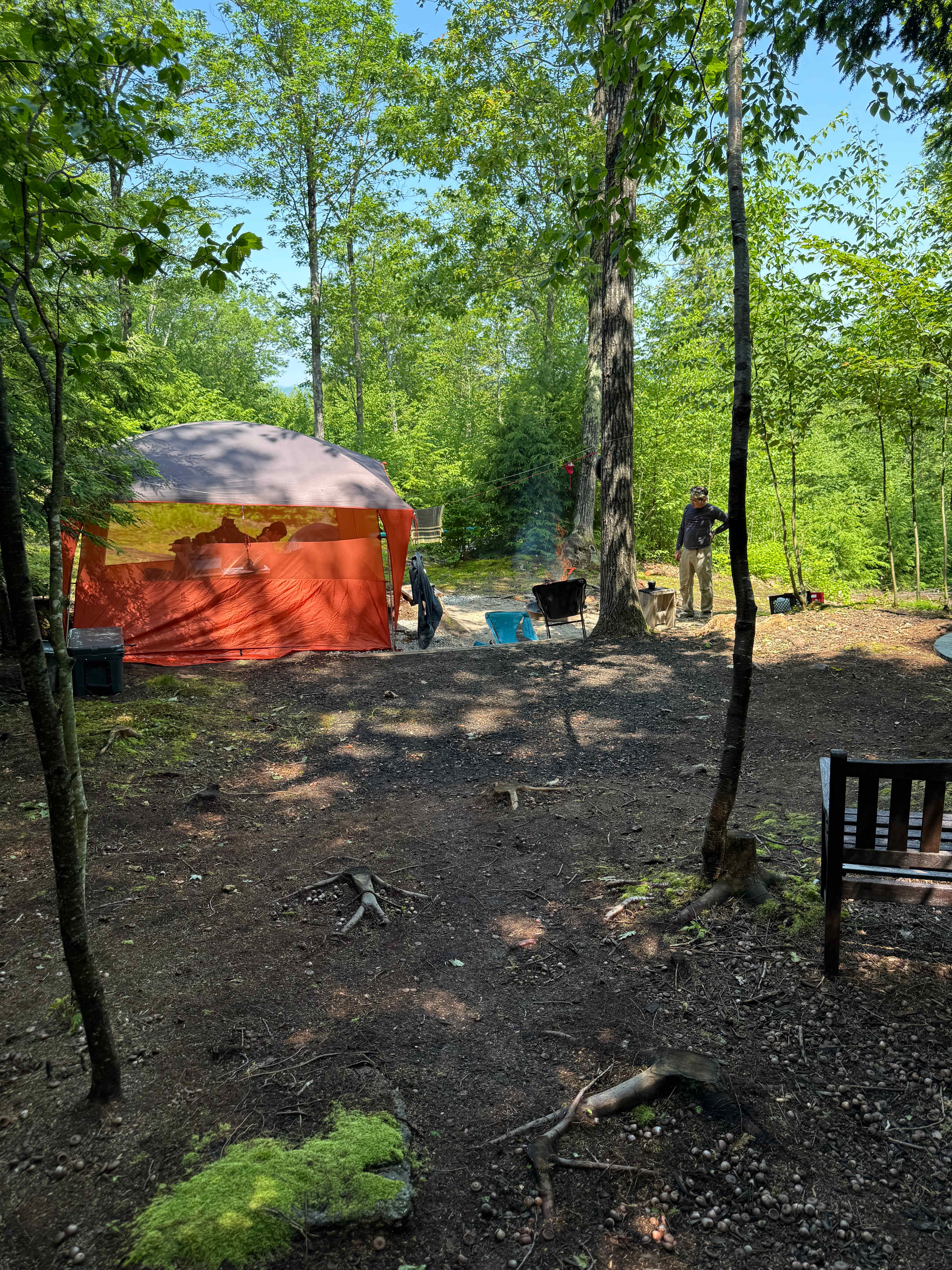 Hussey Mountain Tree Farm