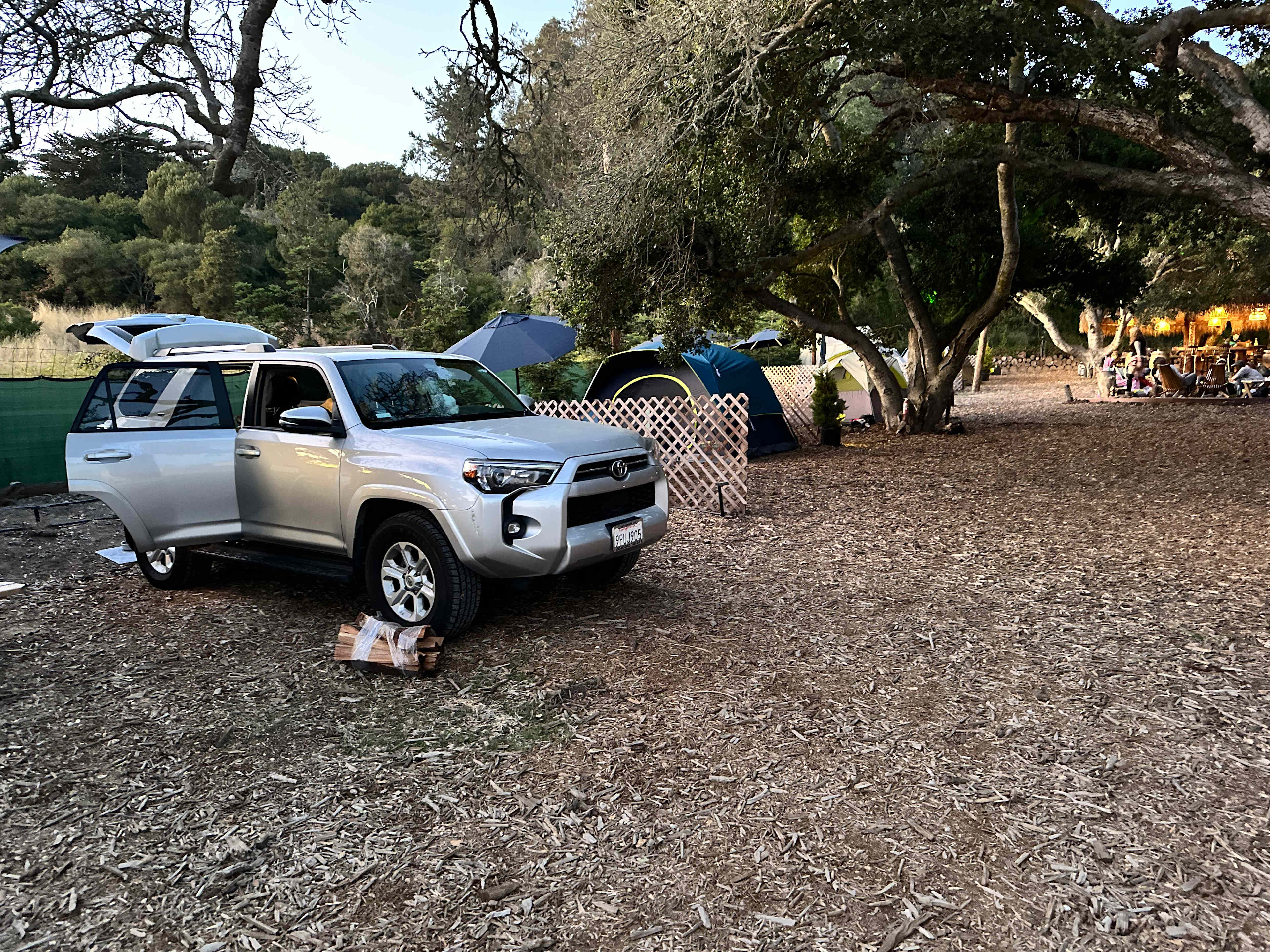 FEEL GOOD CAMP