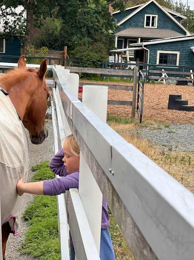 A budding love for horses :)