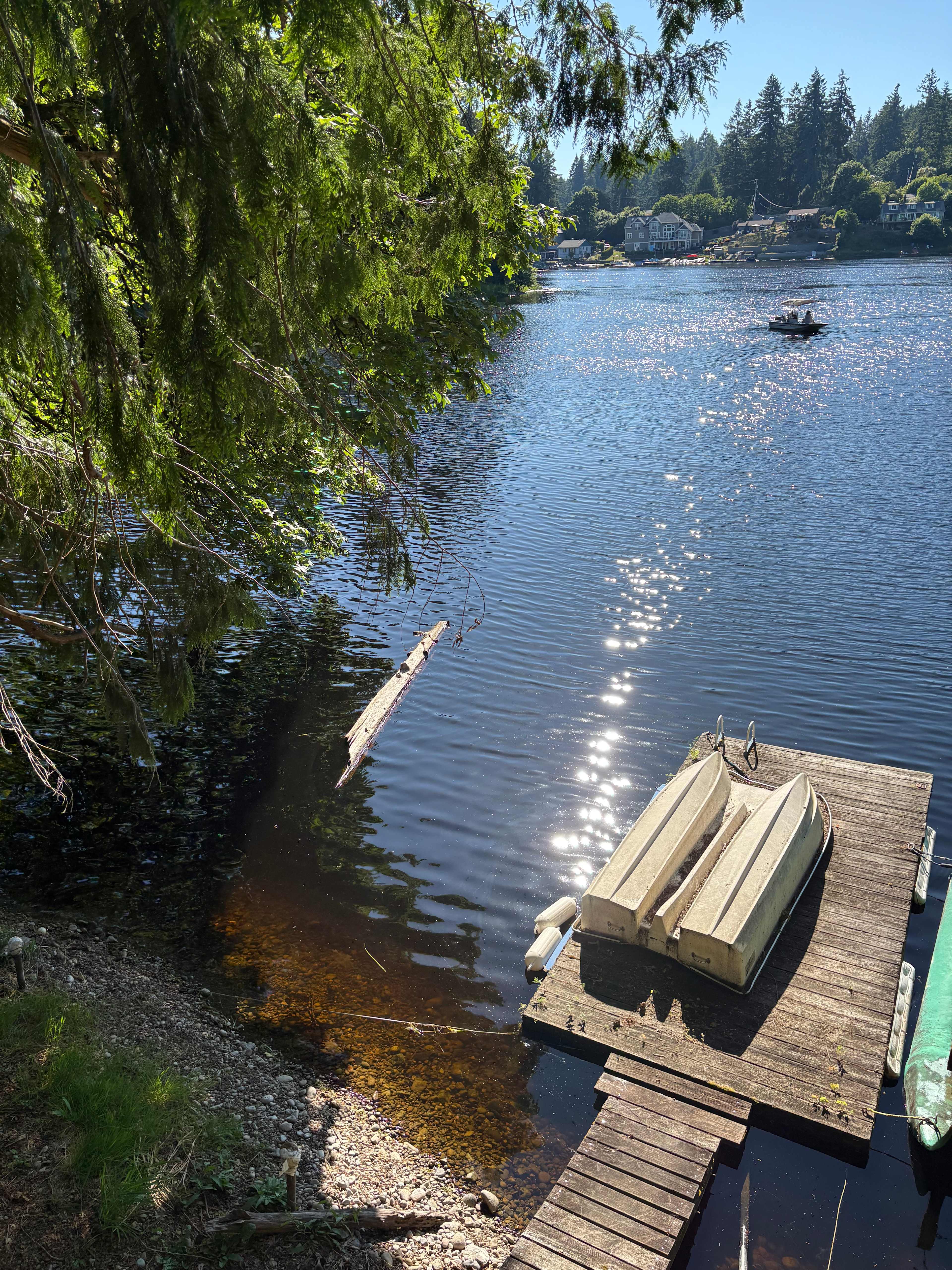 View from the deck 