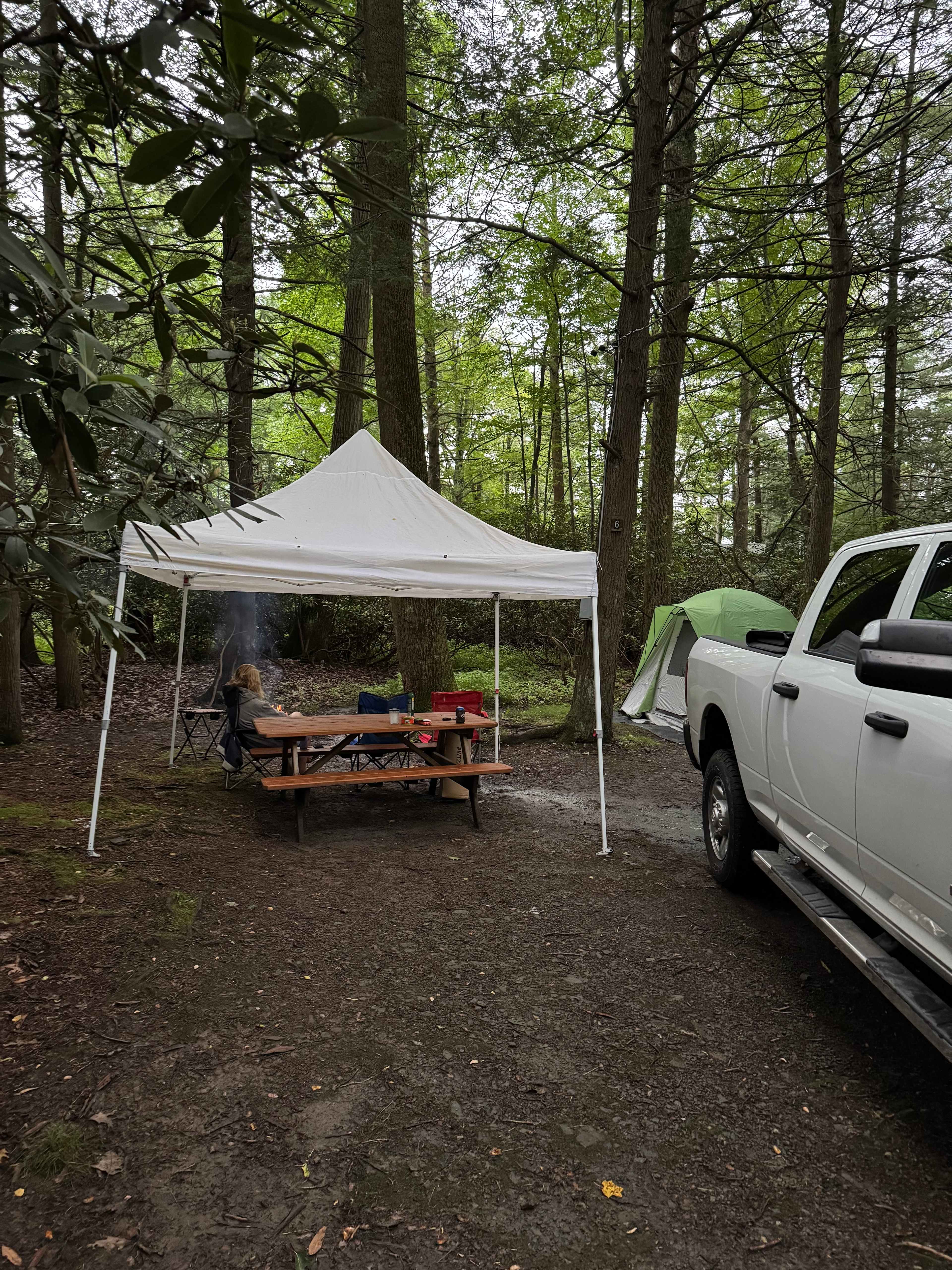 Bald Eagle Campsite