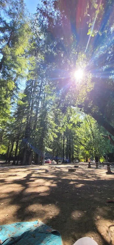 Mirabel RV Park and Campground