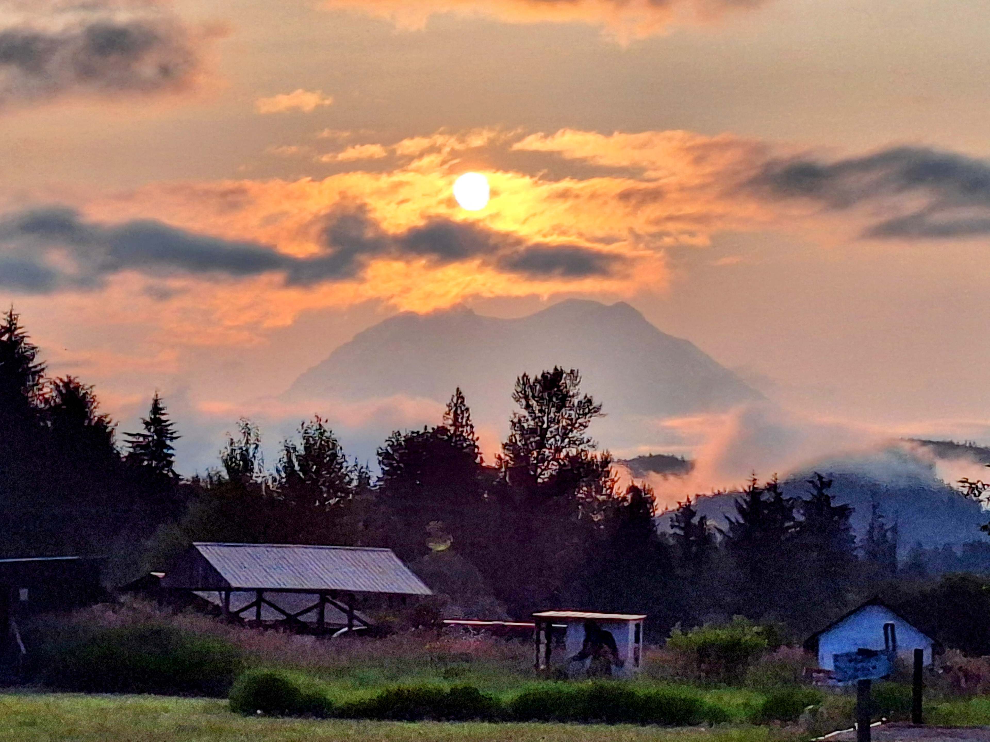 Misty Meadows Adventures Mt.Rainier