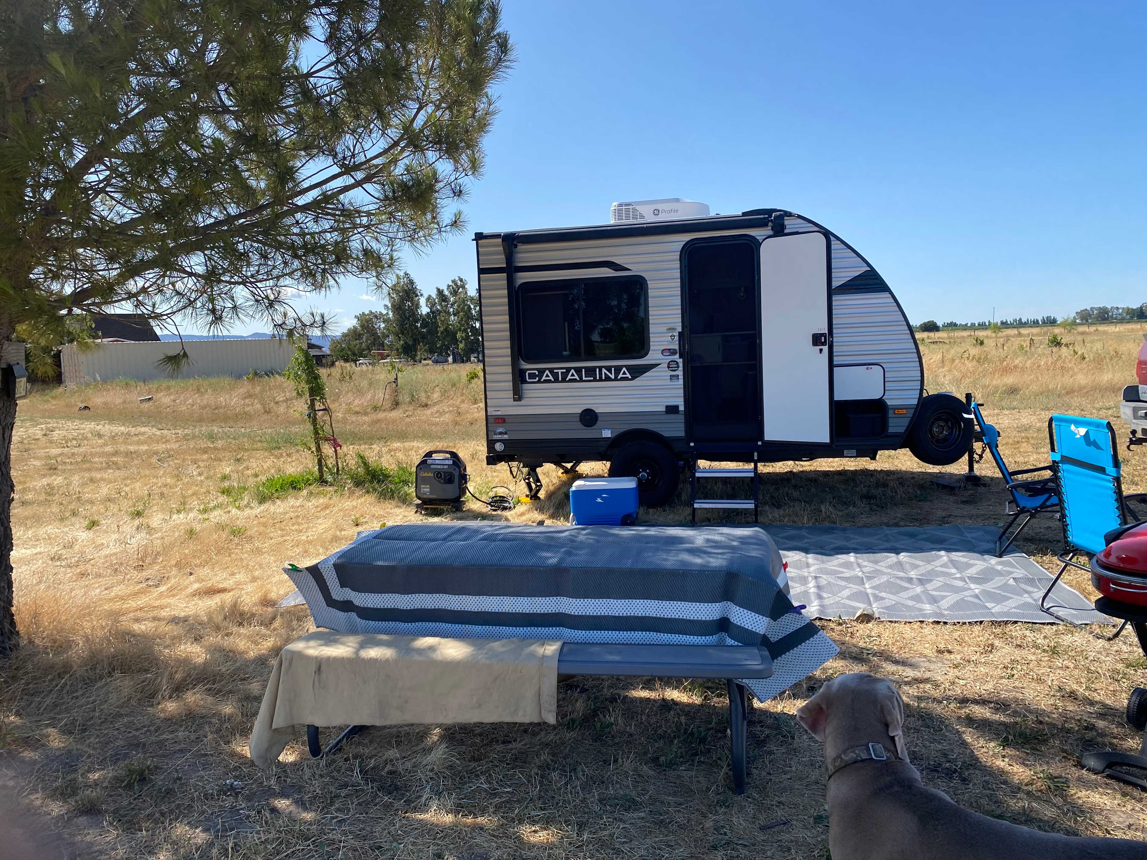 Site 4