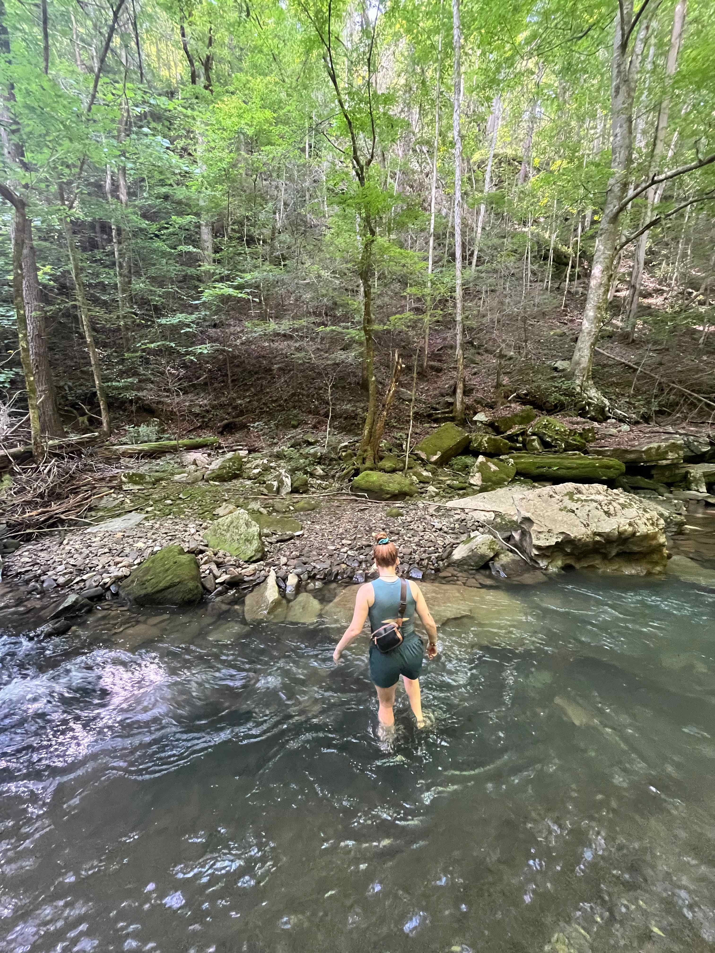 The Falls at Sewanee Creek