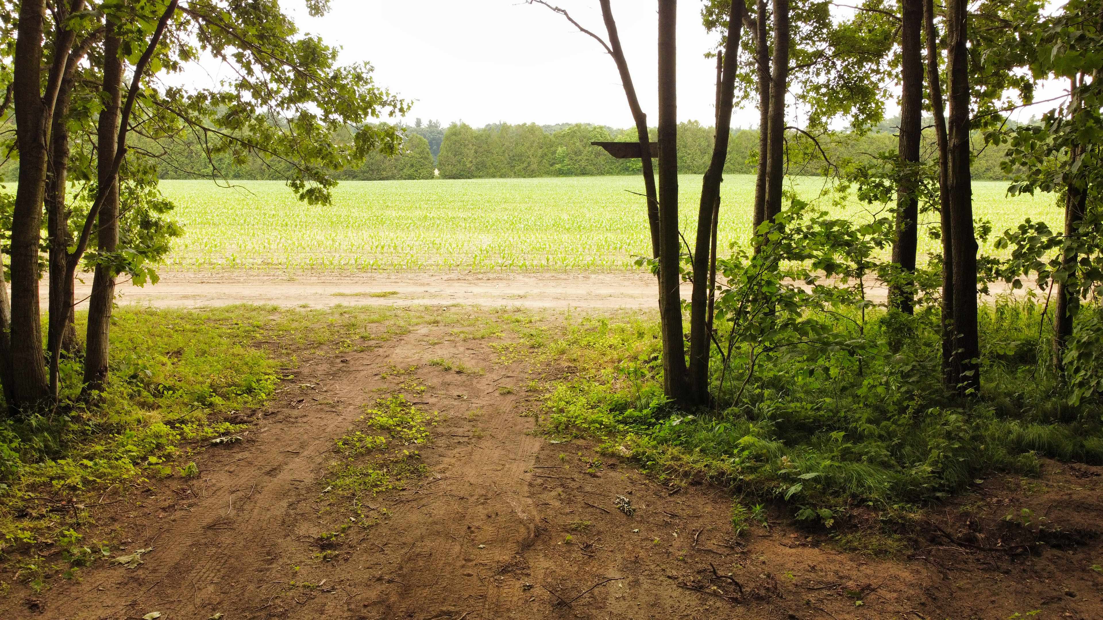 Spring Arbour Magic Forest &Trails!
