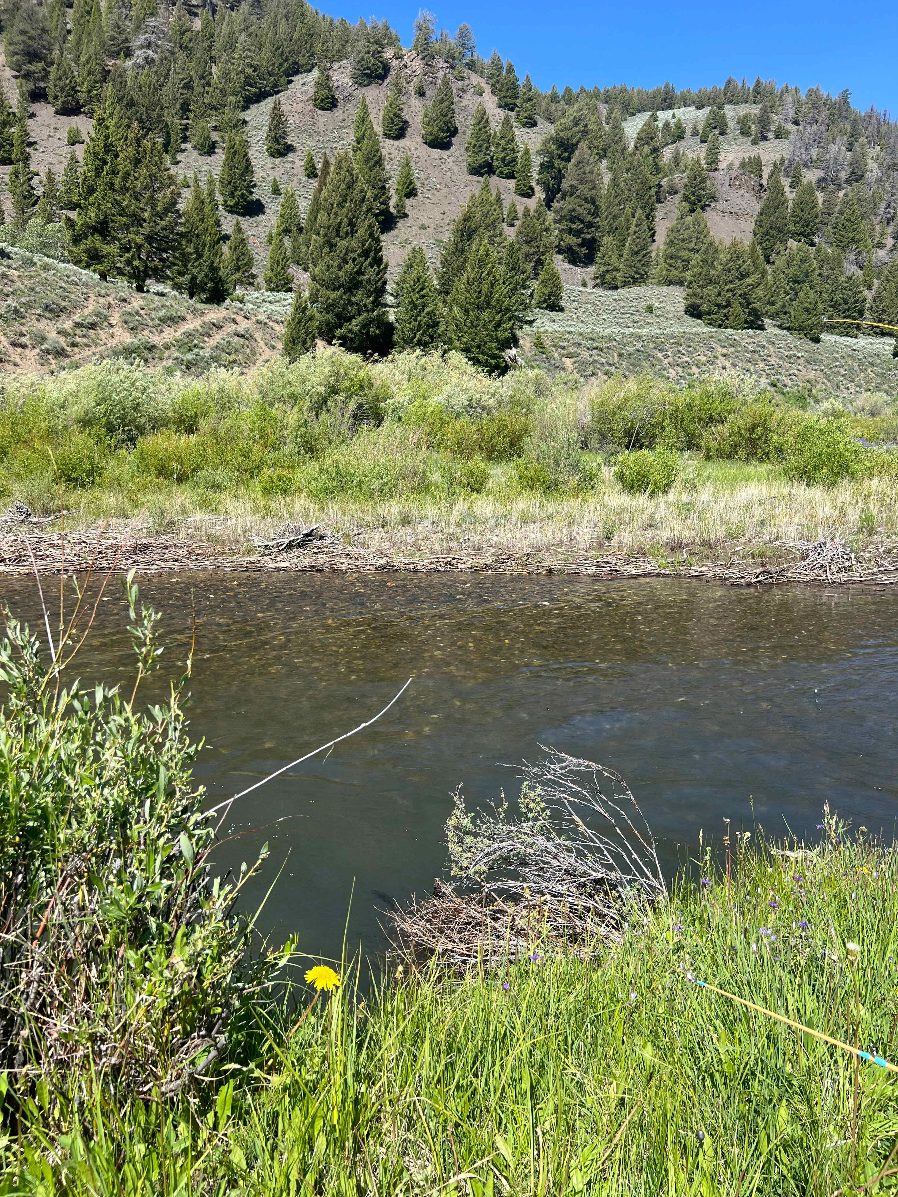Idaho's Best Kept Secret!