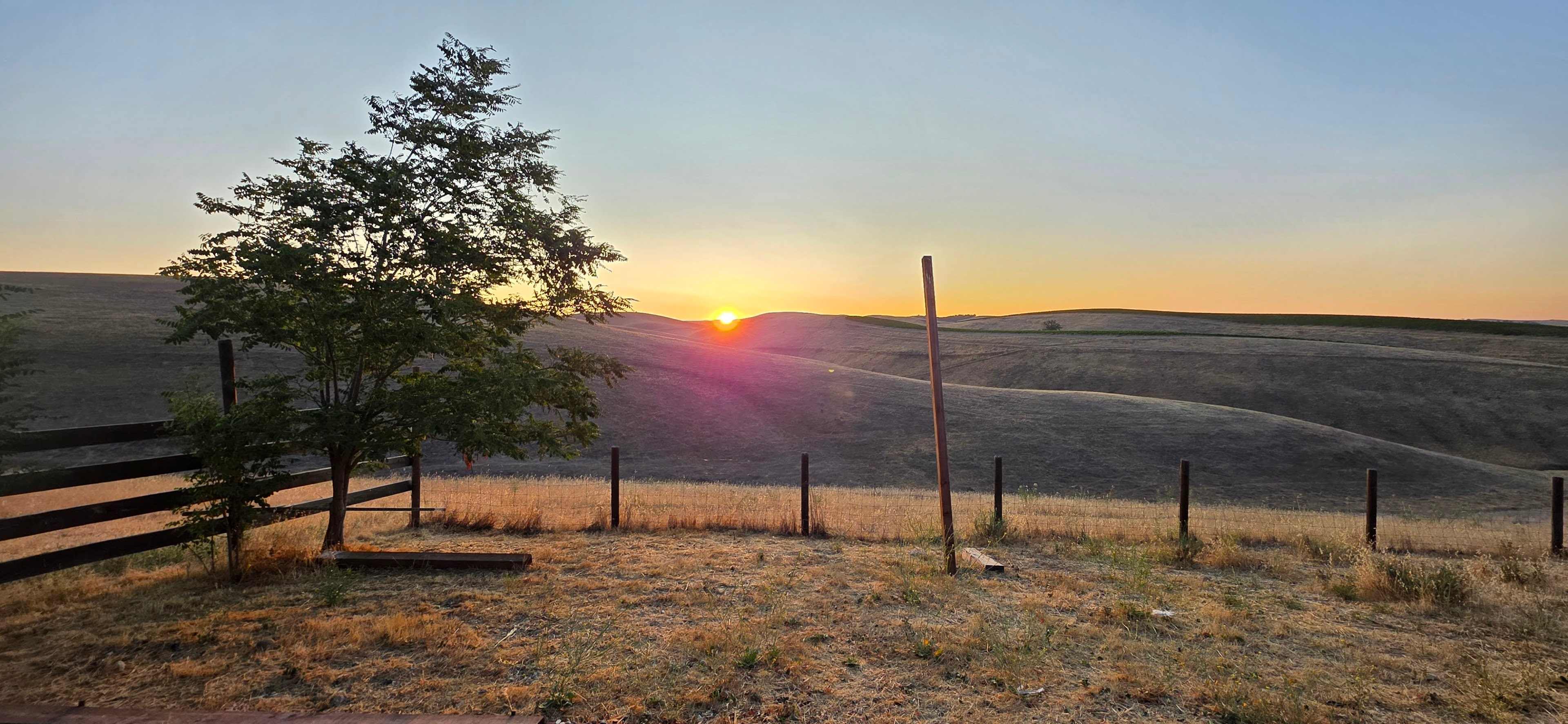 Enney's Ranch
