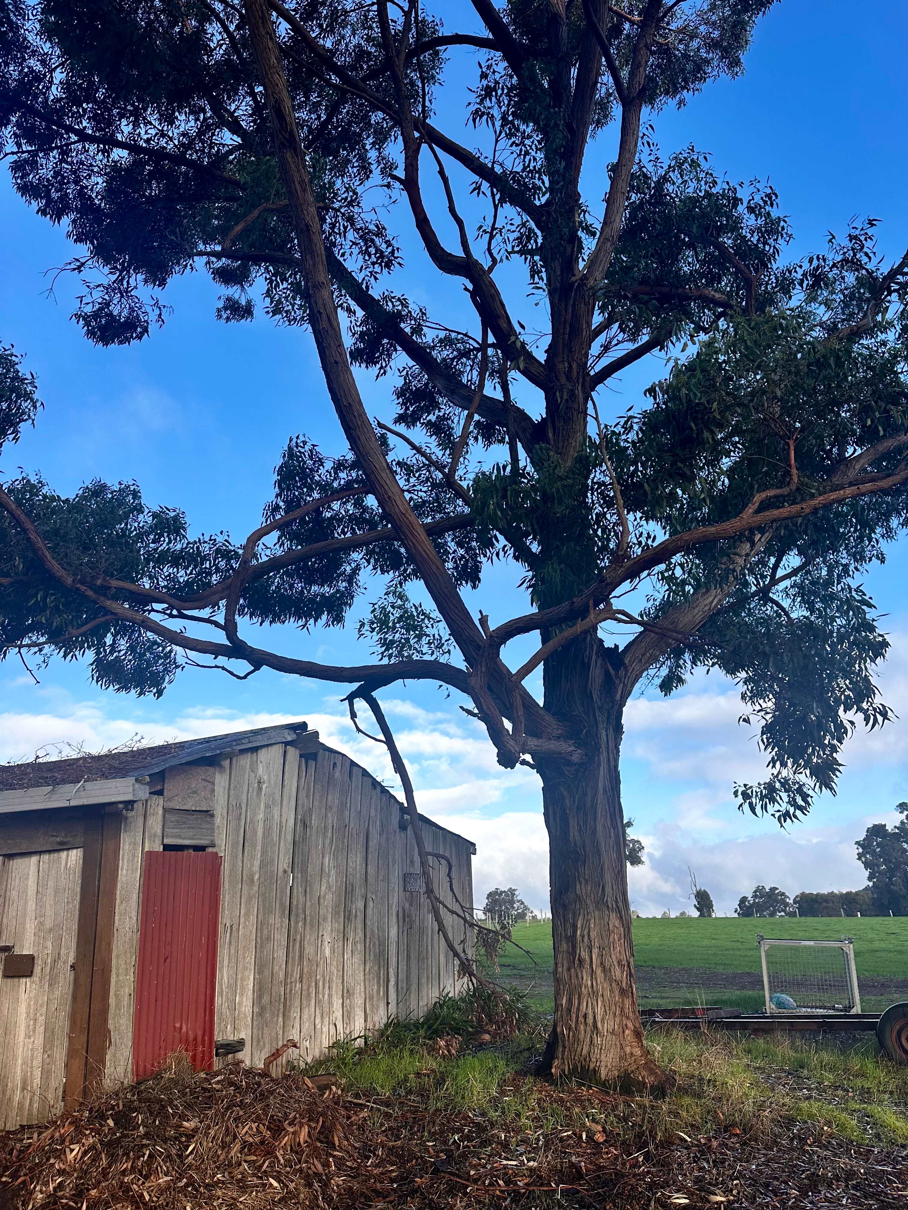 Dunmovin Estate