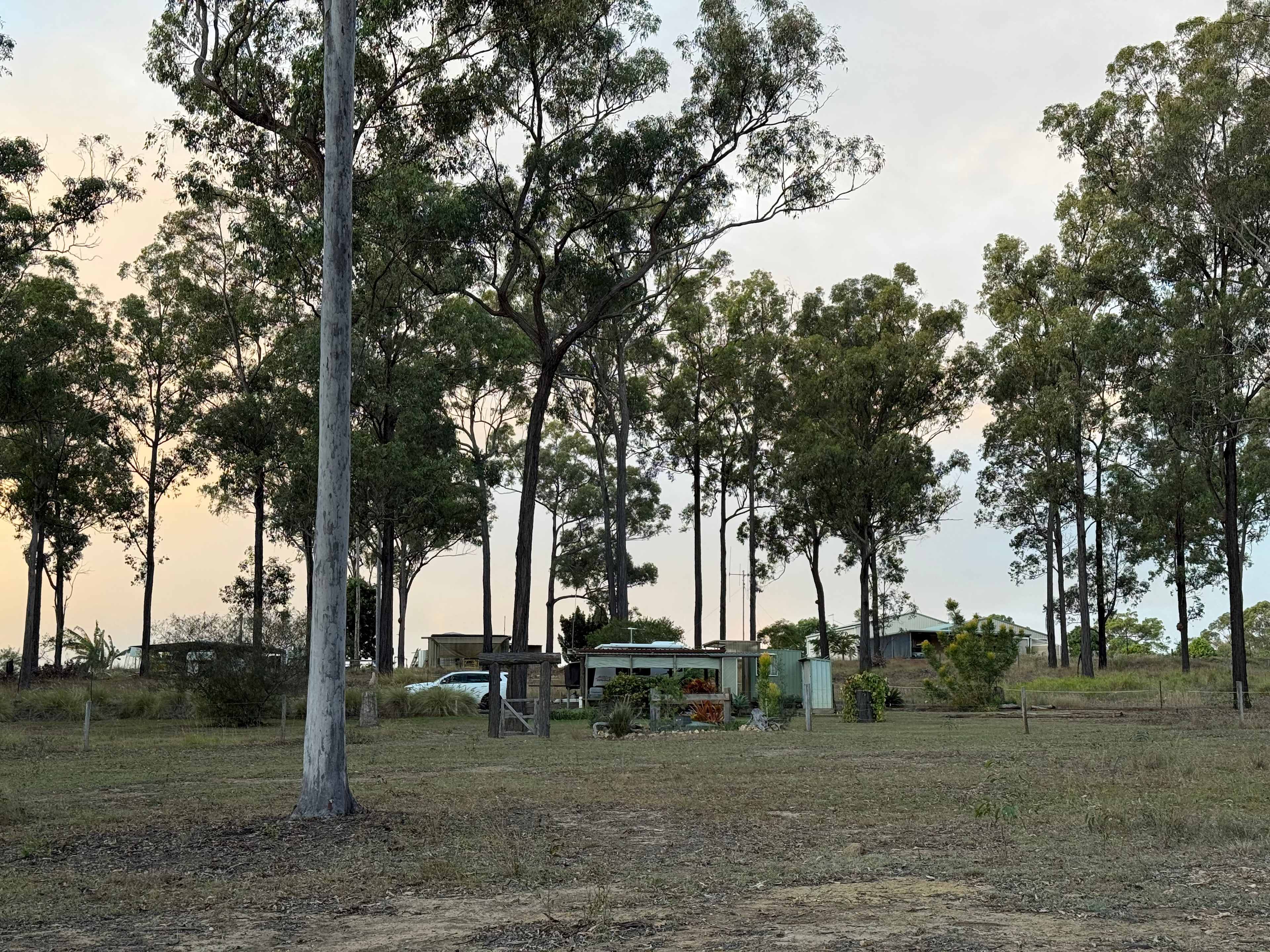 Peaceful Bush Camp-Wrinkles