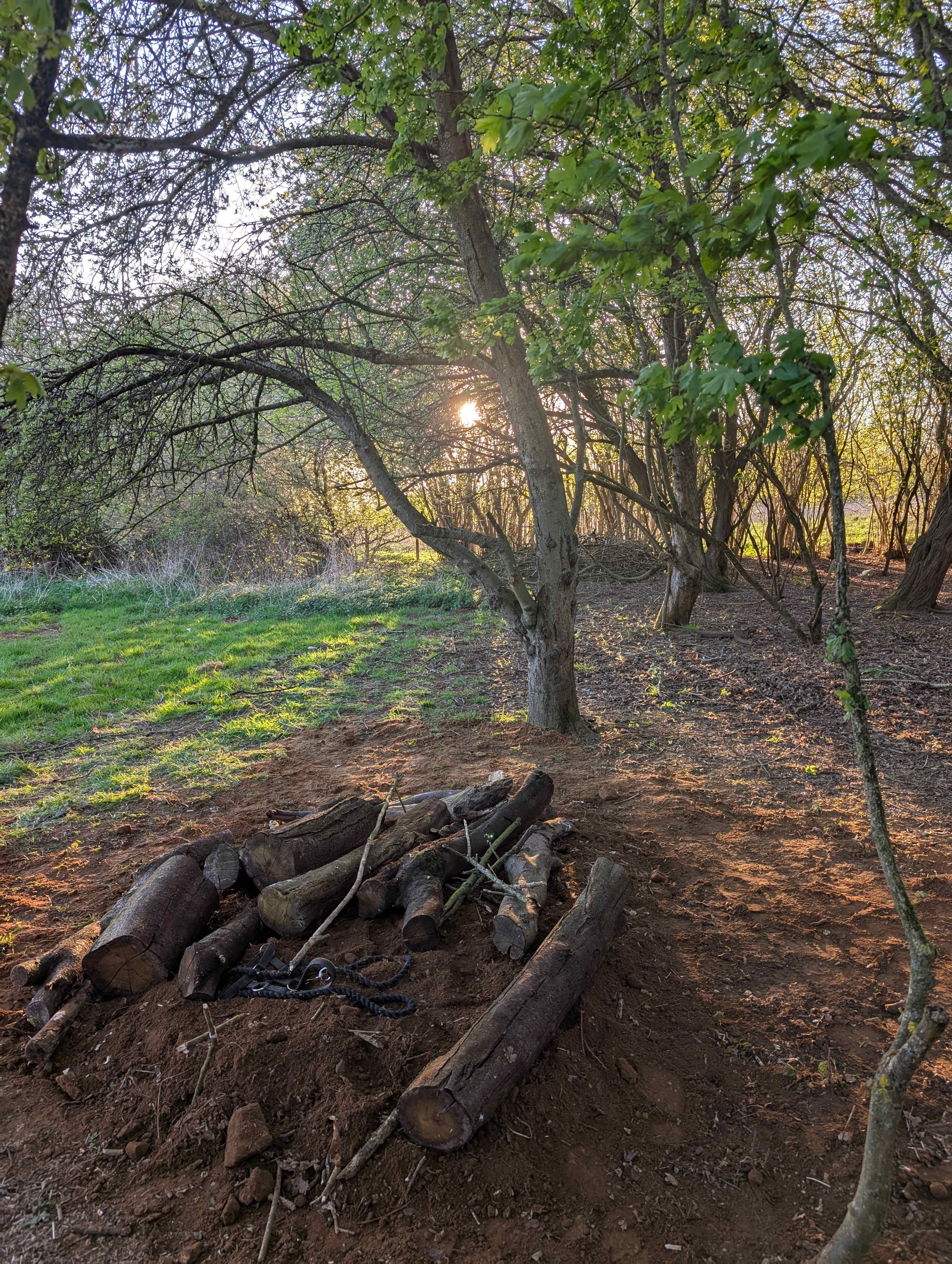 Shotover Country Park wild camping