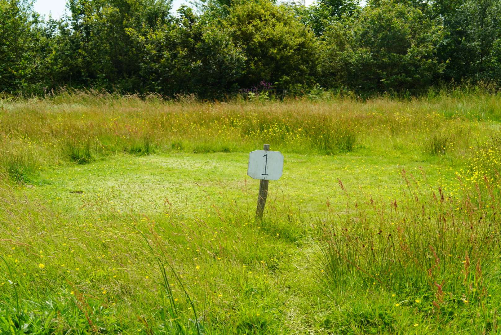 Felin Uchaf Meadow Camping