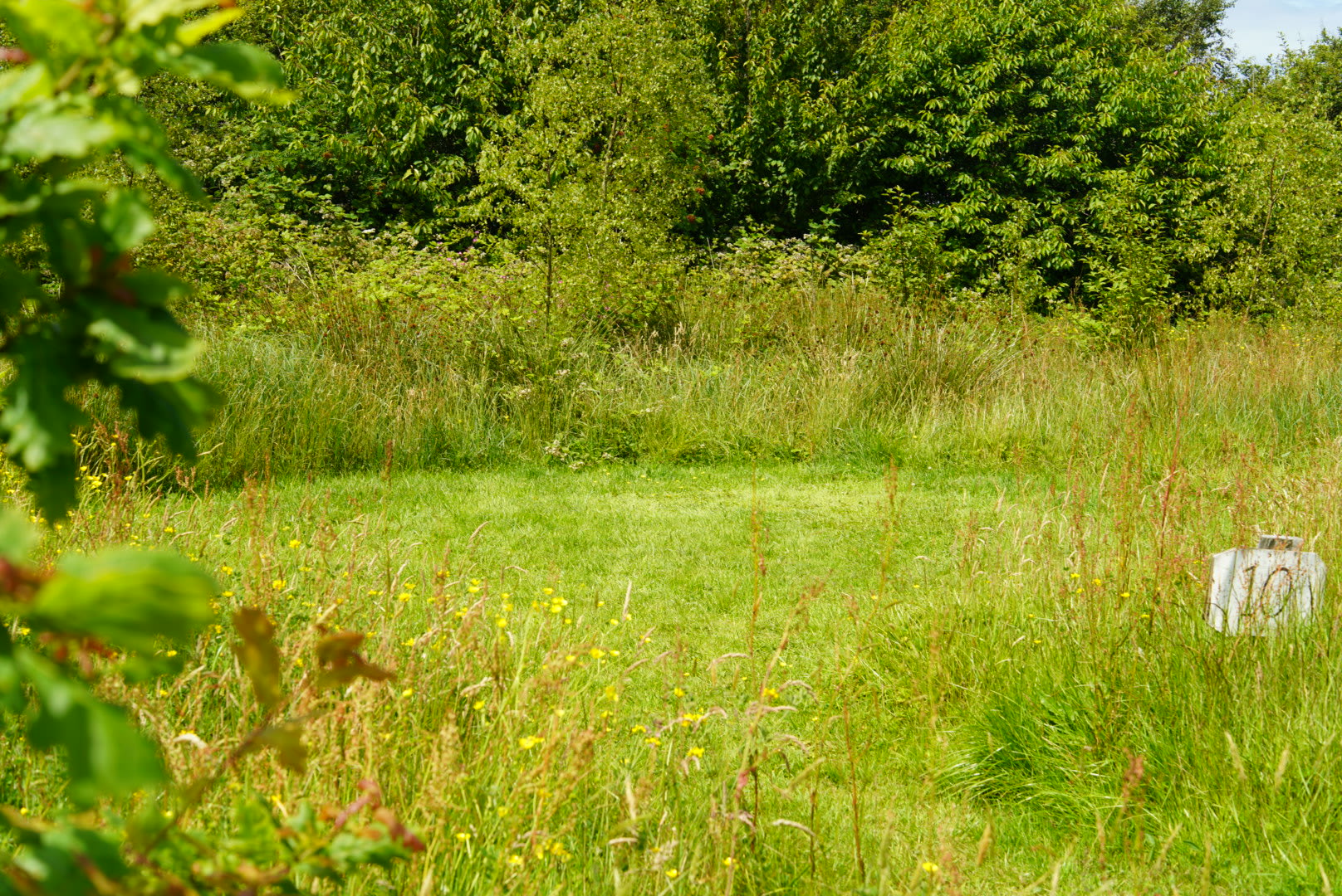 Felin Uchaf Meadow Camping