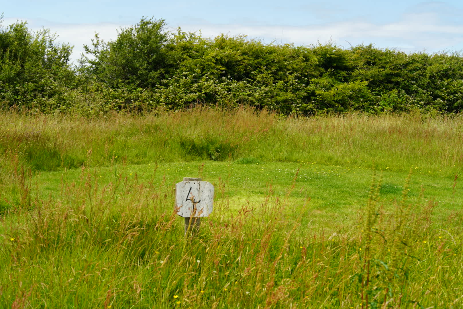 Felin Uchaf Meadow Camping