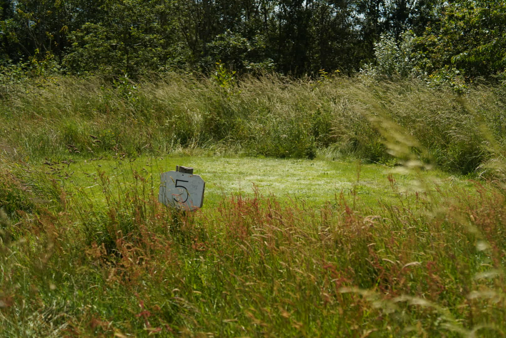 Felin Uchaf Meadow Camping