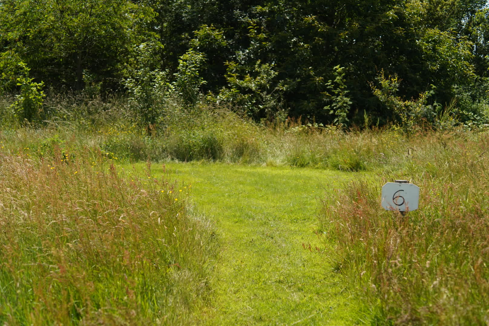 Felin Uchaf Meadow Camping