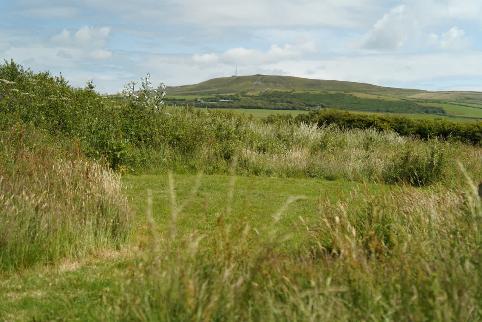 Felin Uchaf Meadow Camping