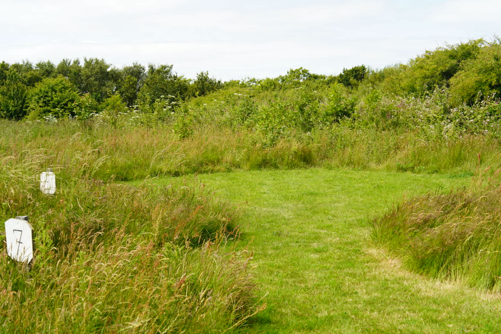Felin Uchaf Meadow Camping