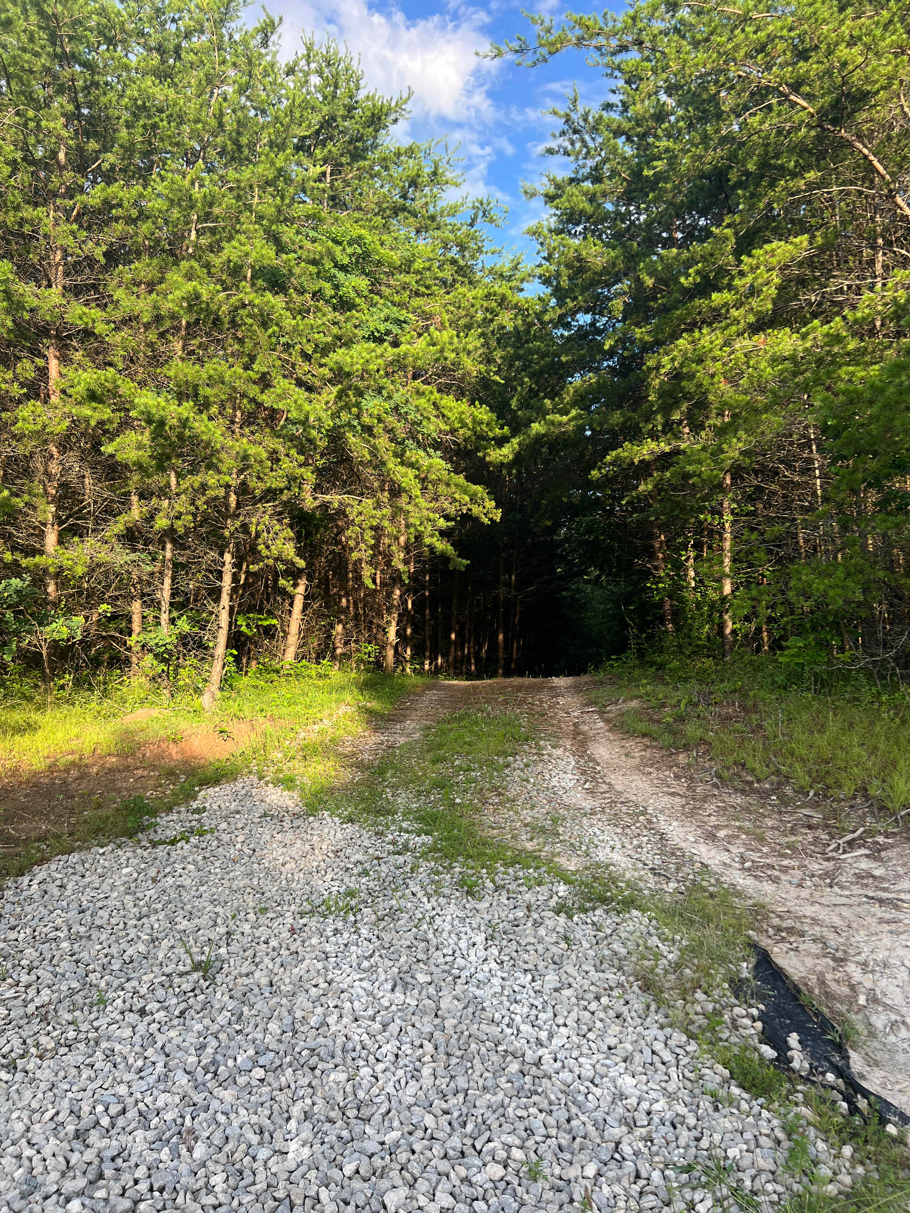 Limestone Bluffs