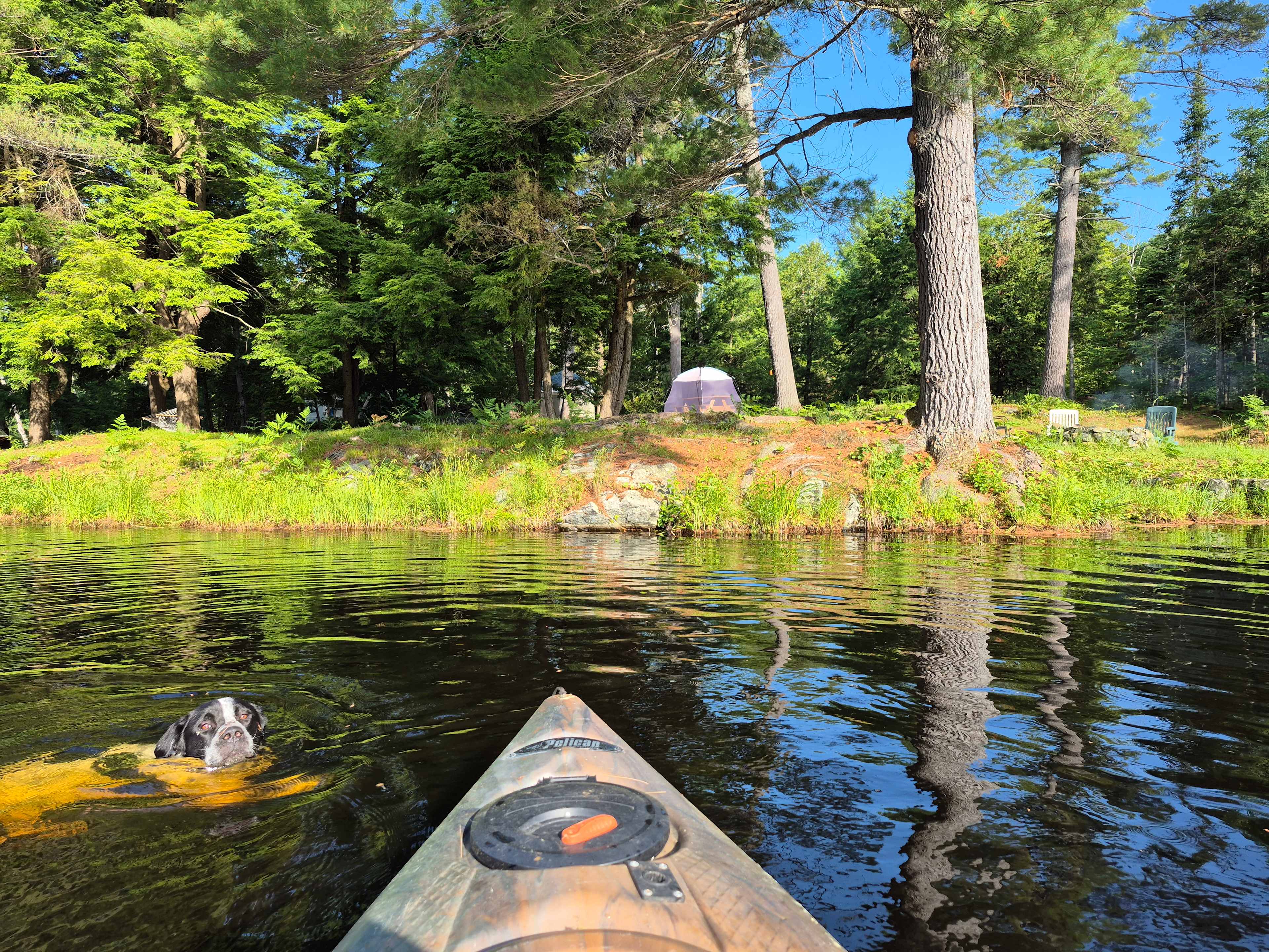 Hemlock Point Campground