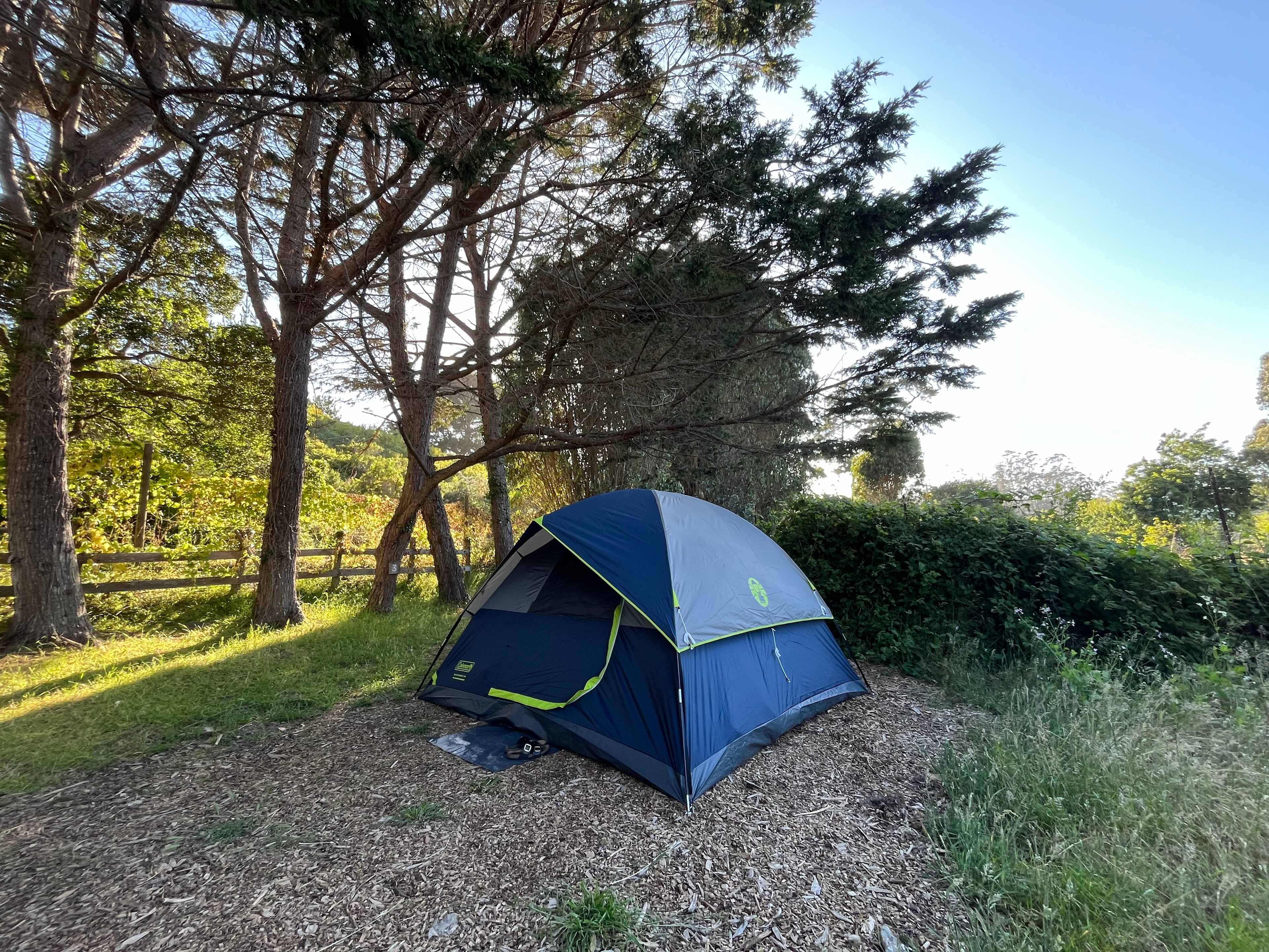 Site 3 - Cypress Right