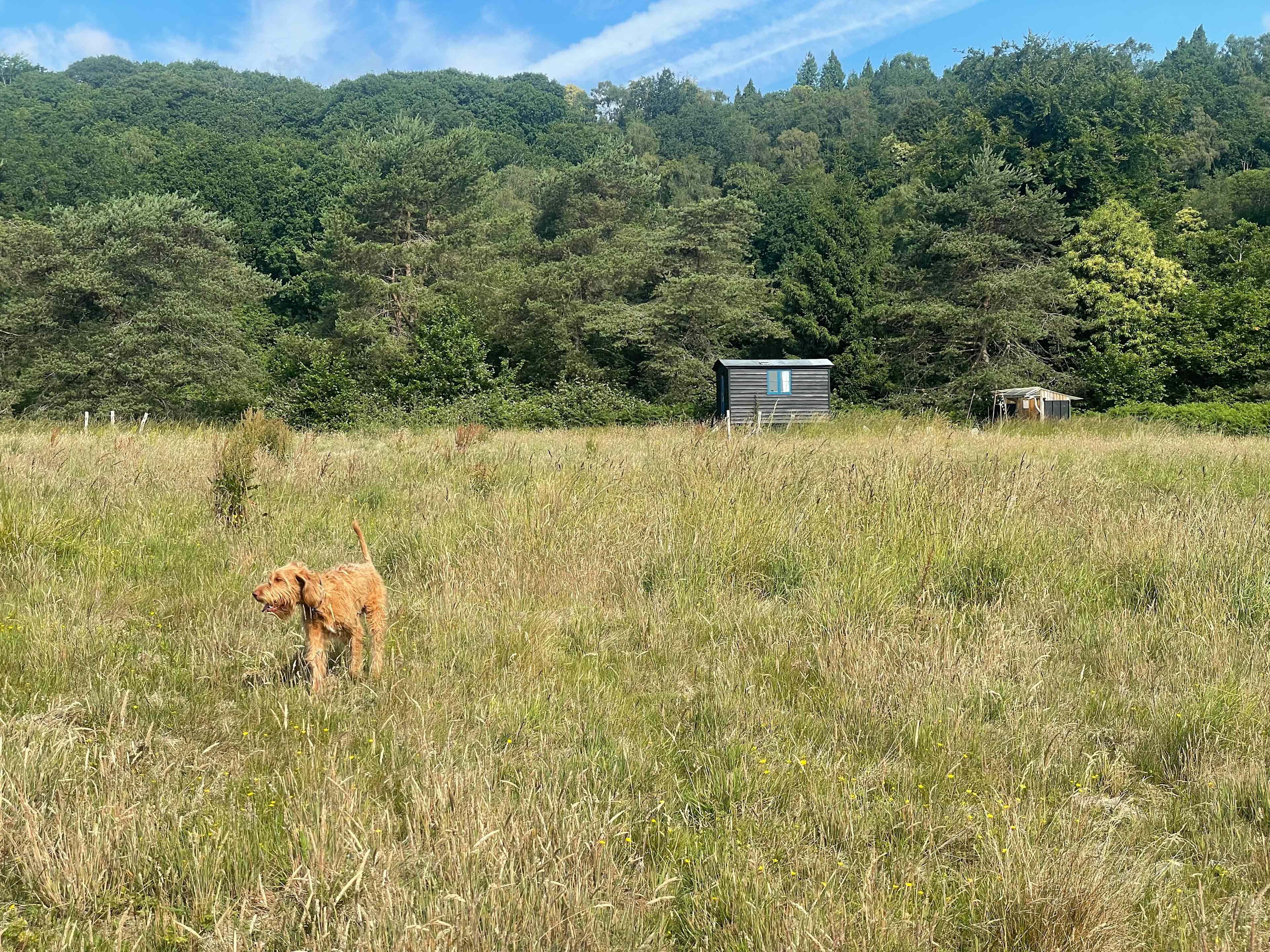 Beautiful hideaway, panoramic views