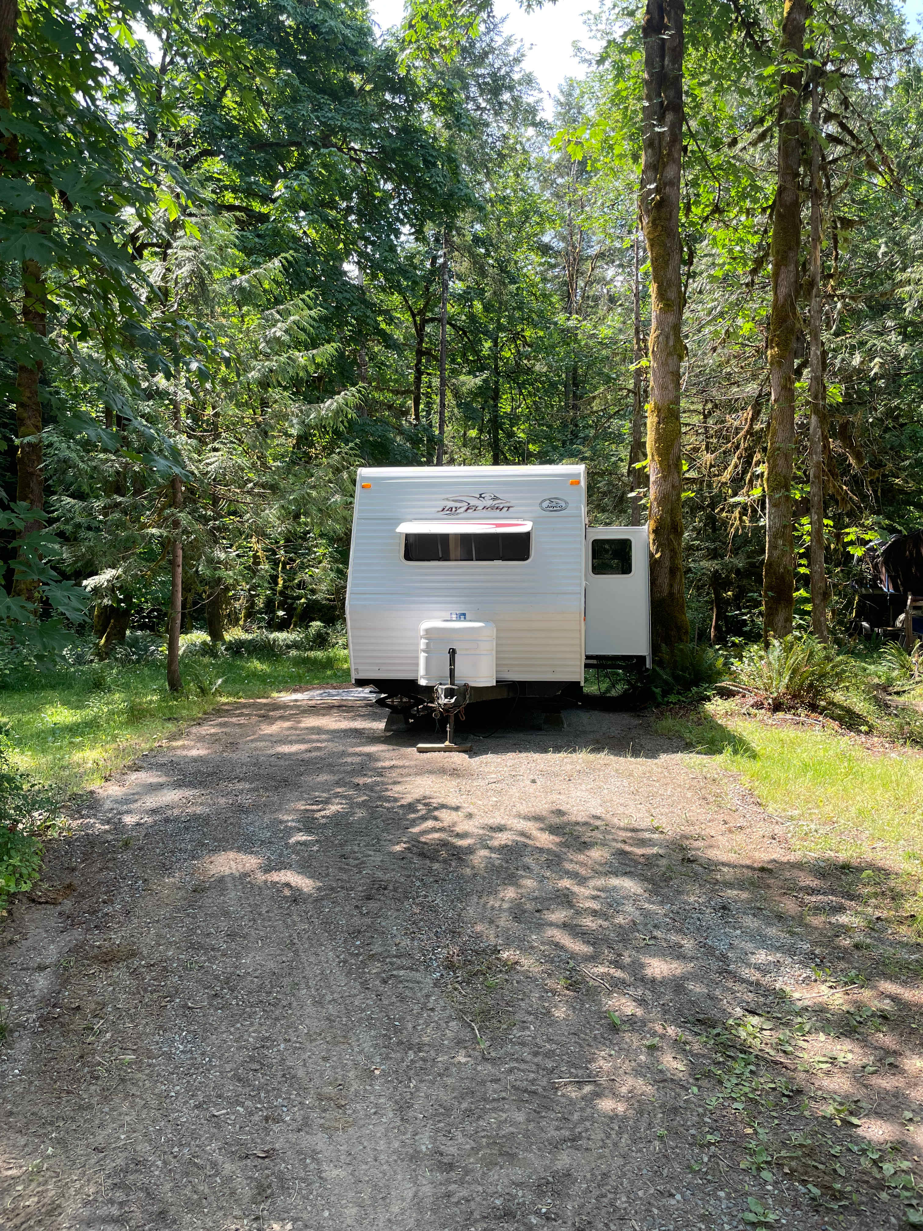 Mystic Maples Forest Retreat