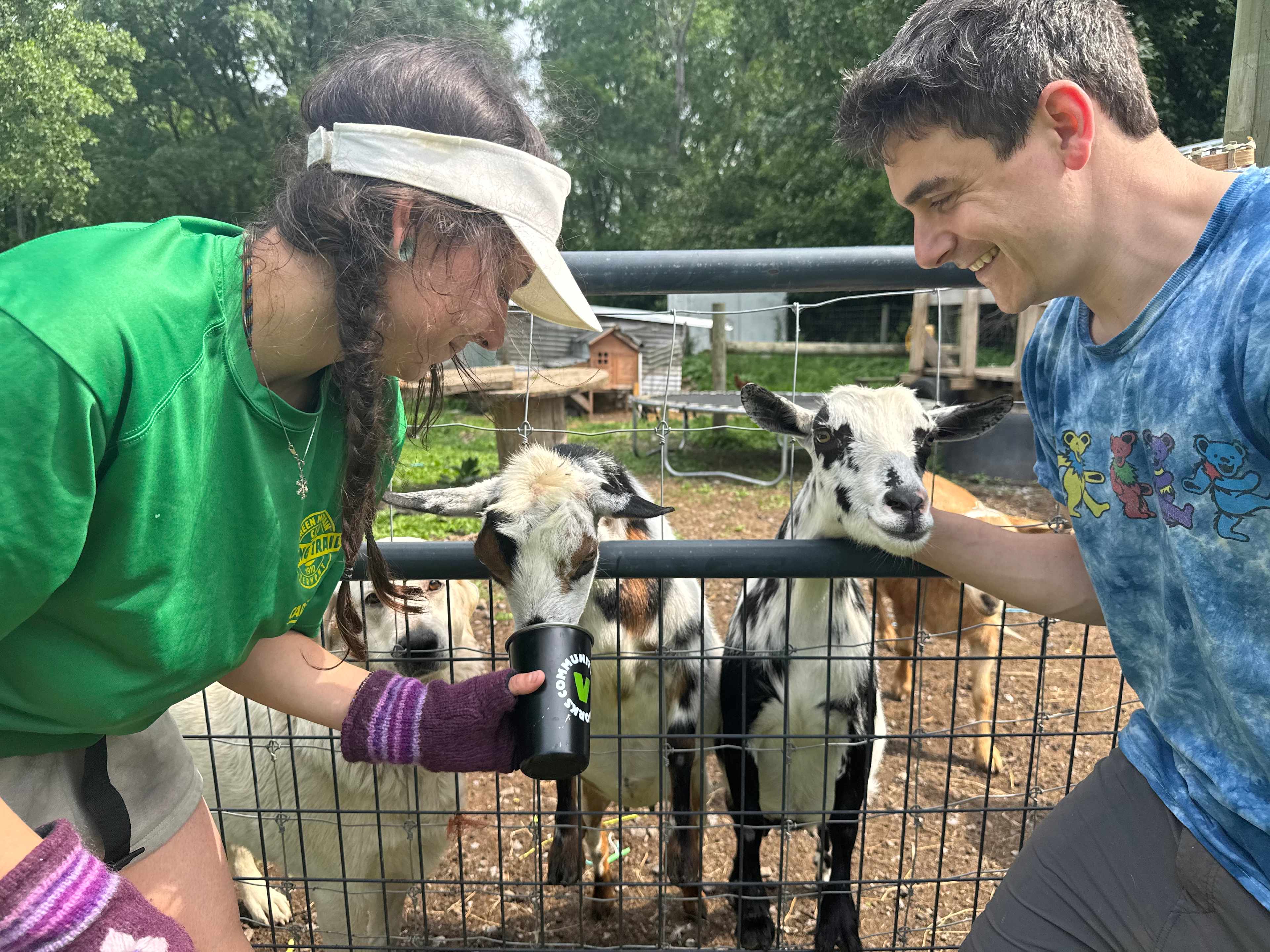 Crazy Goats Farm Camp