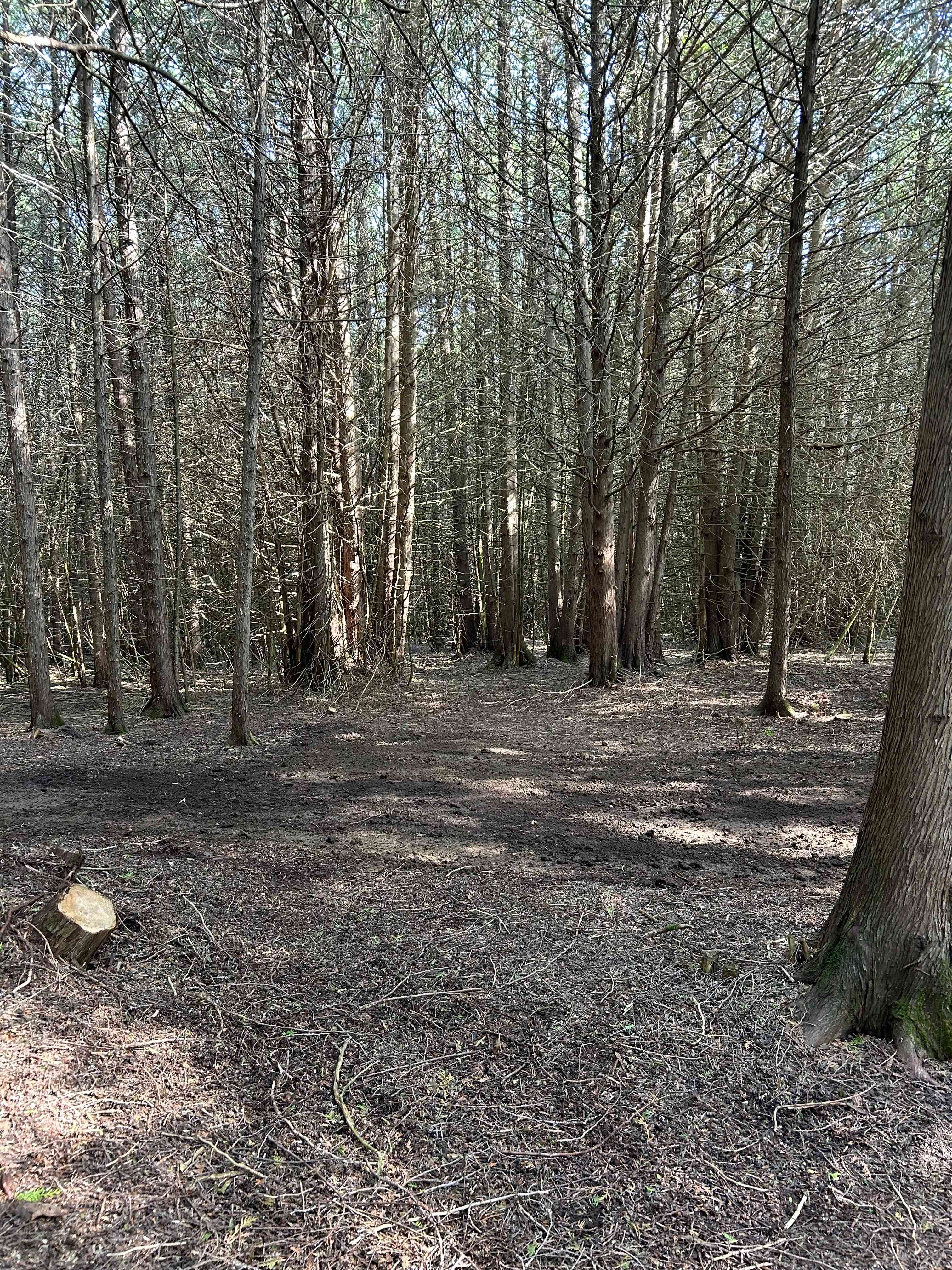Nestled amongst the cedars, this quiet, private campsite is just the place to disconnect from the busyness of everyday.  Sit back and enjoy the river and the sounds of nature. 