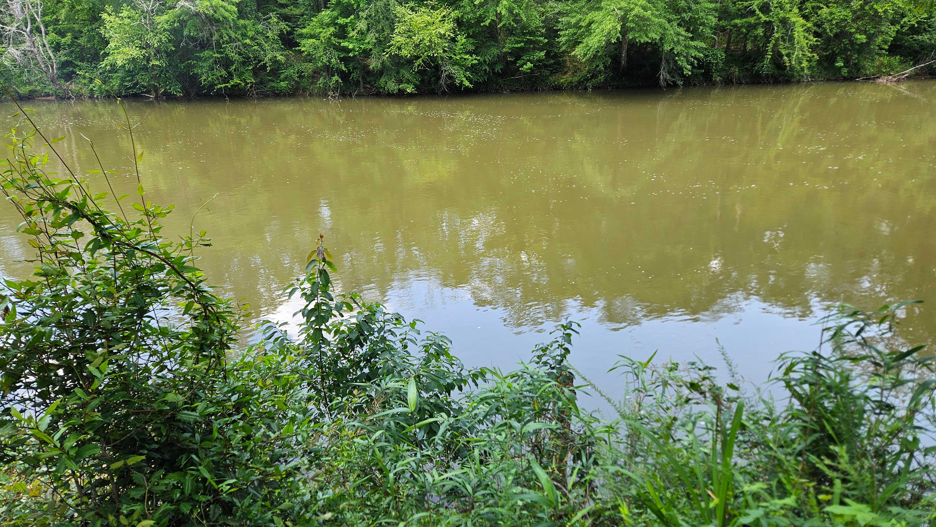 Serenity on the Saluda